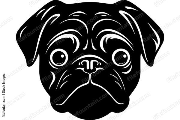 Pug