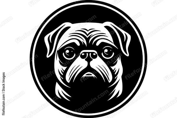 Pug