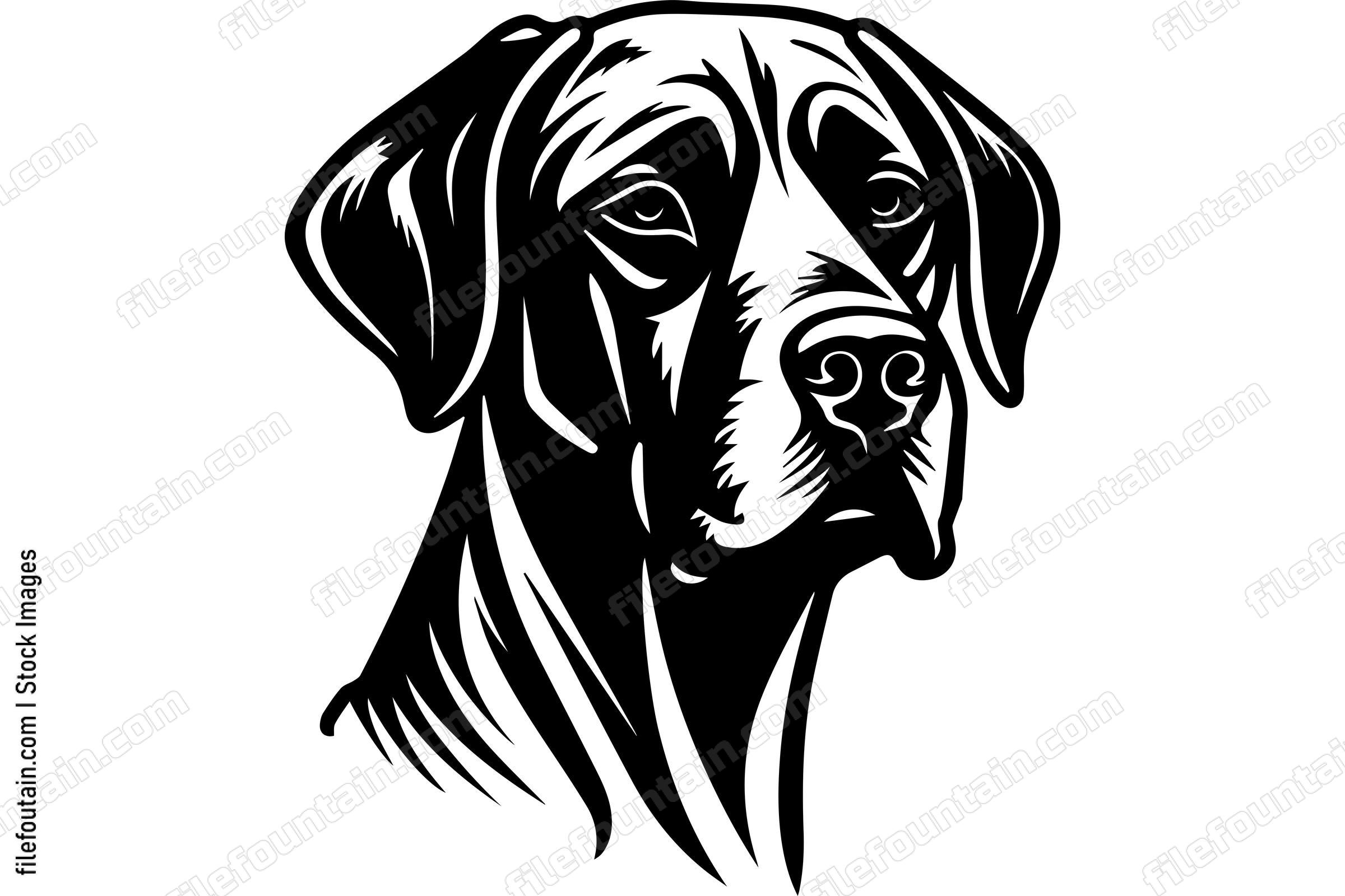 Rhodesian Ridgeback