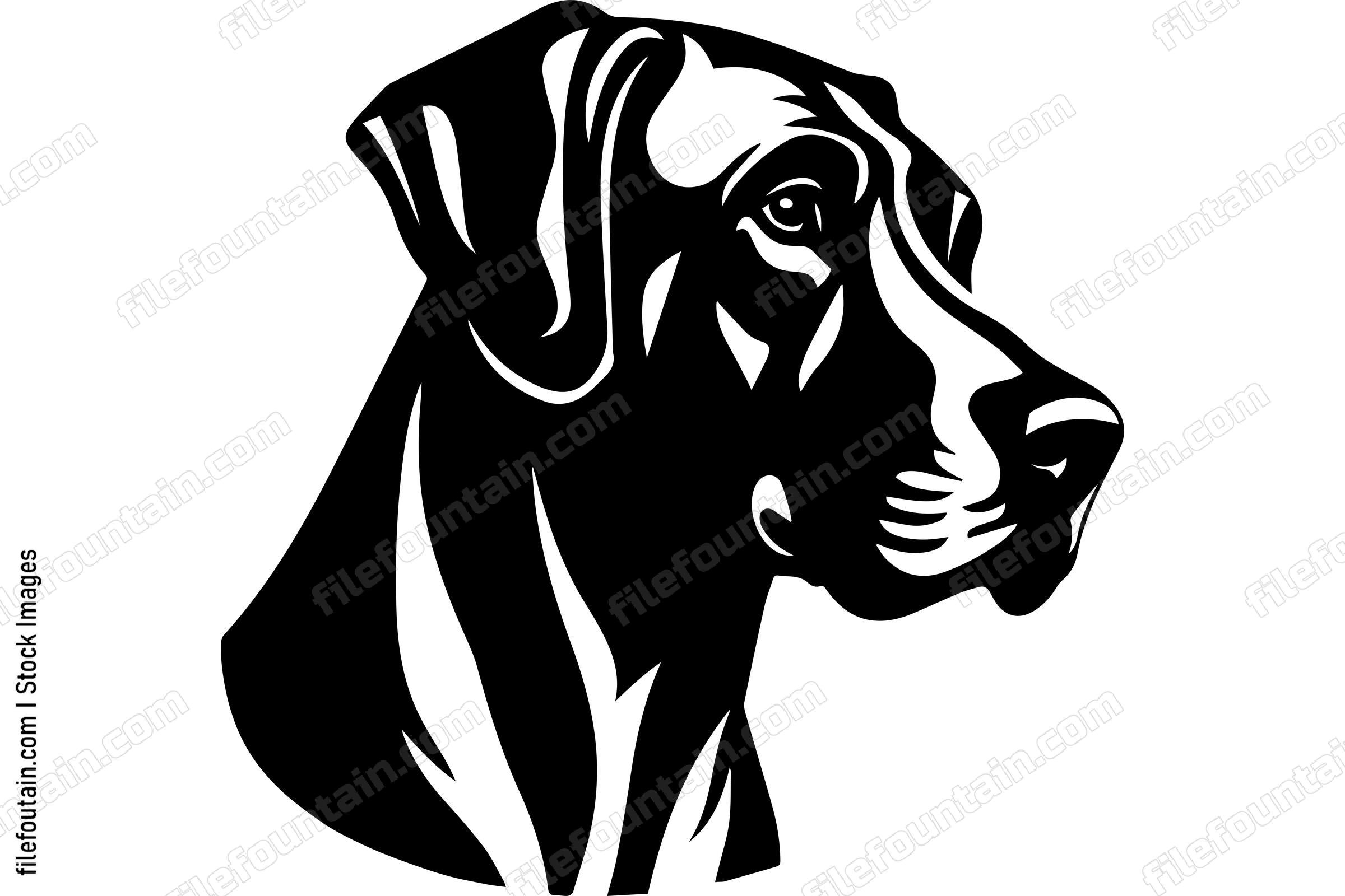 Rhodesian Ridgeback