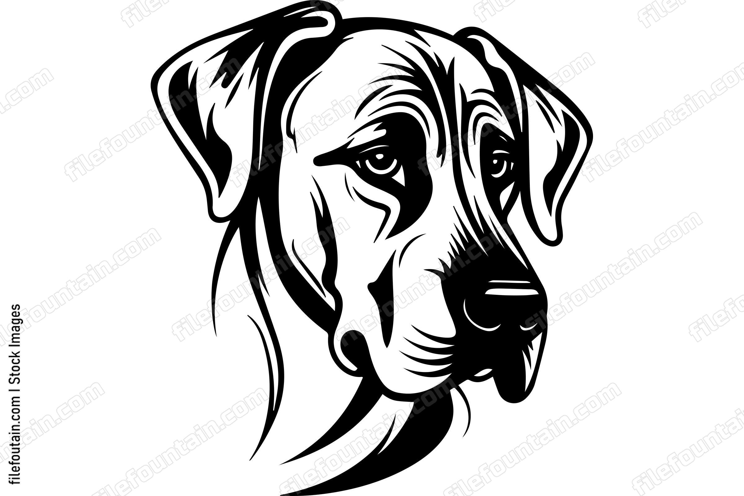Rhodesian Ridgeback