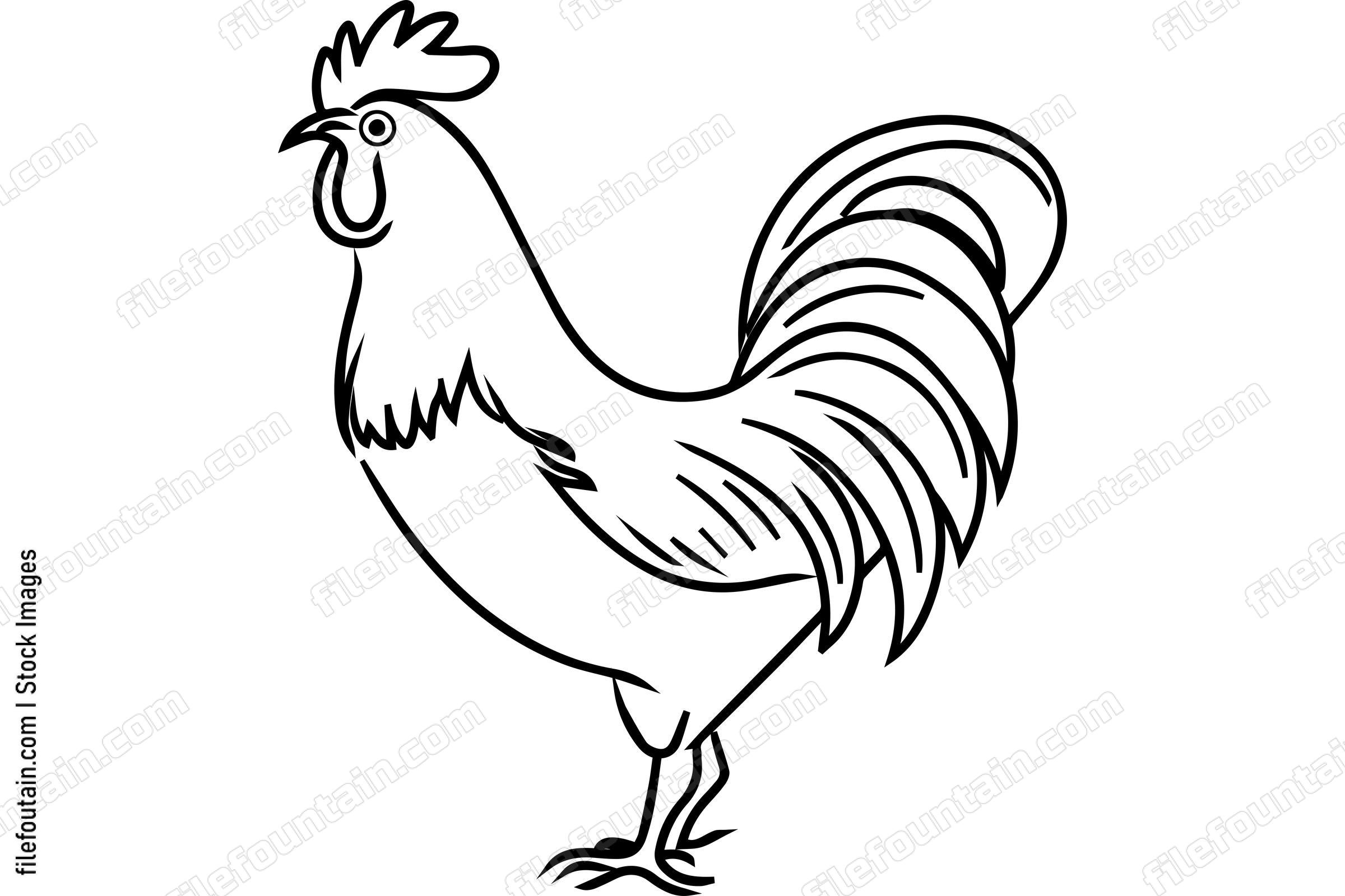 Rooster Outline