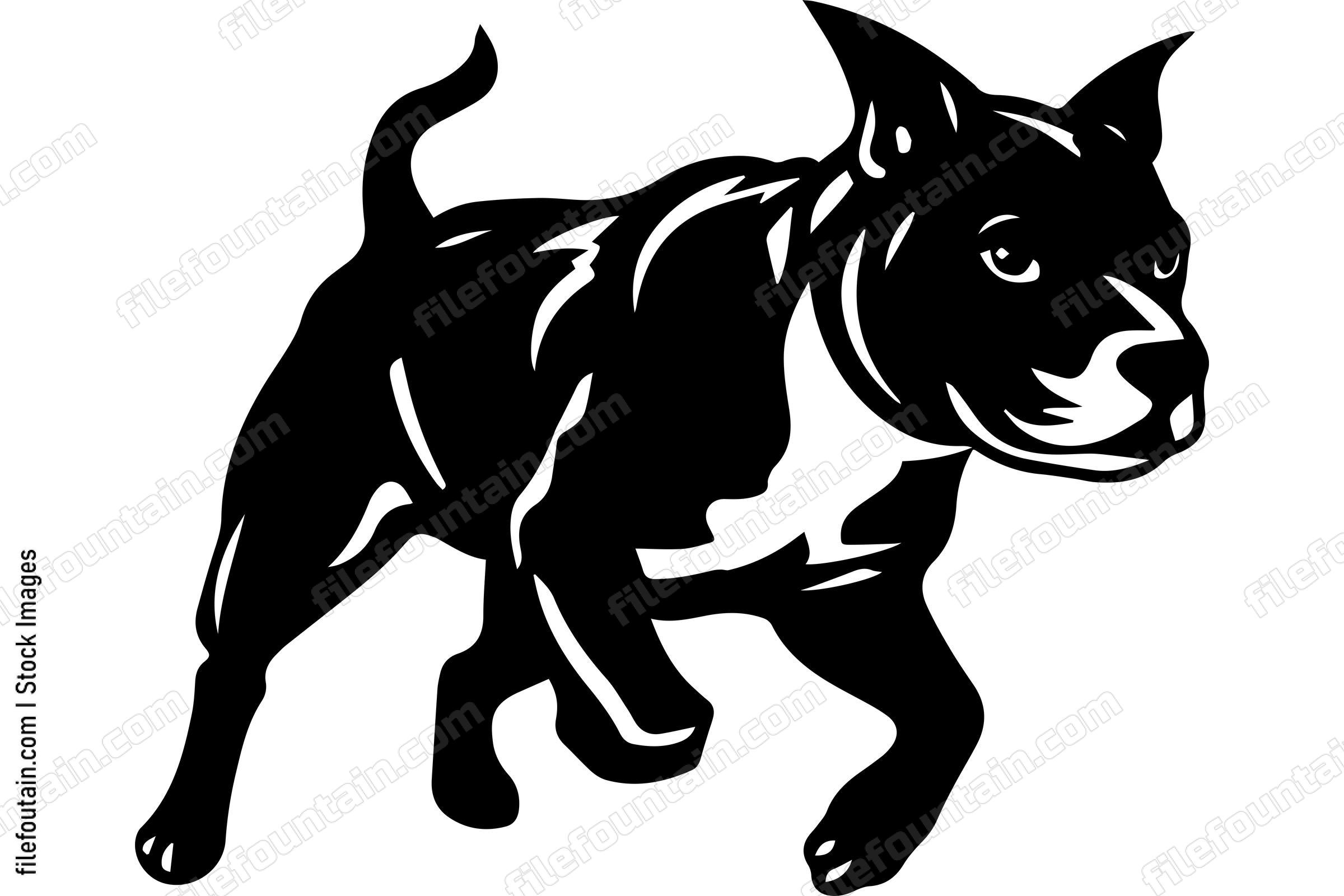 Running American Pit Bull Terrier
