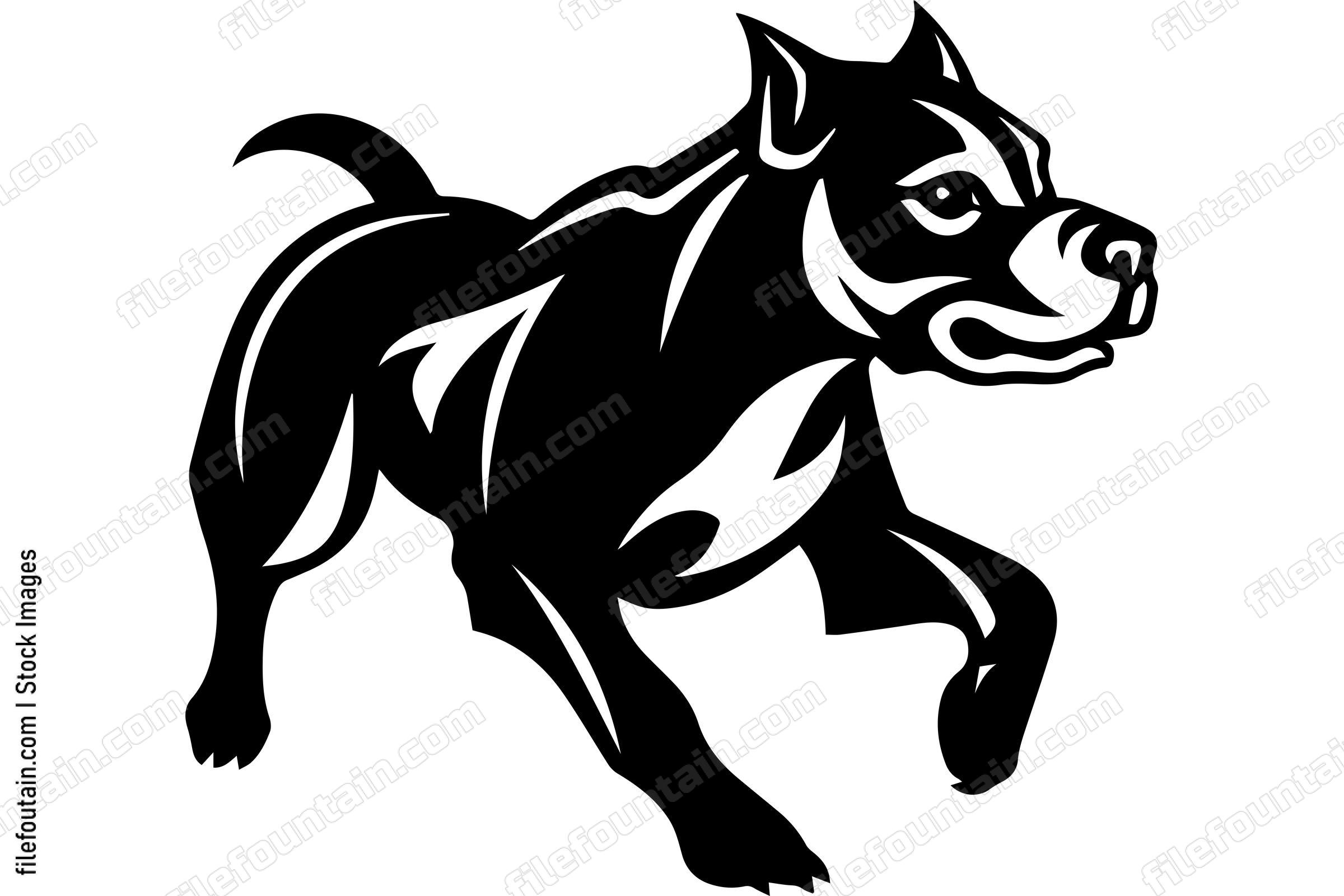 Running American Pit Bull Terrier