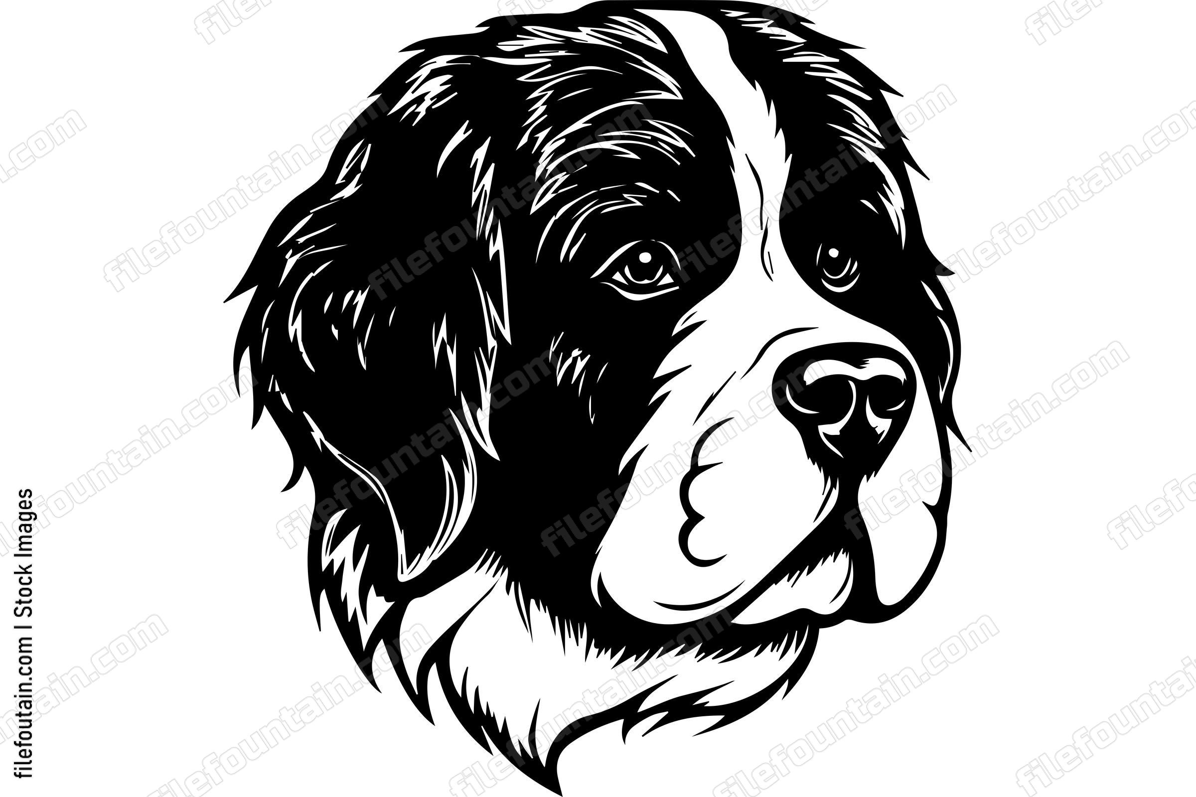 Saint Bernard