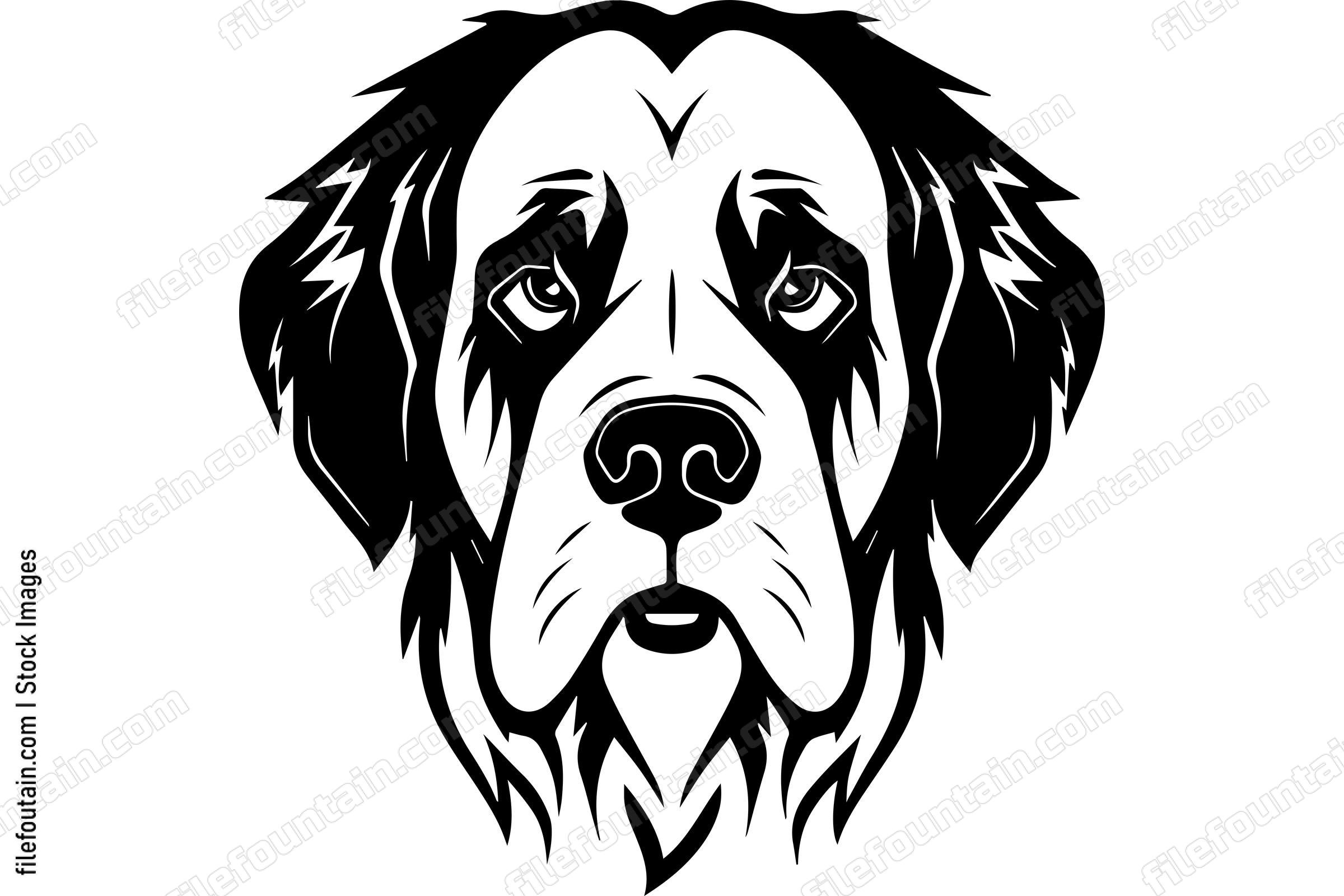 Saint Bernard