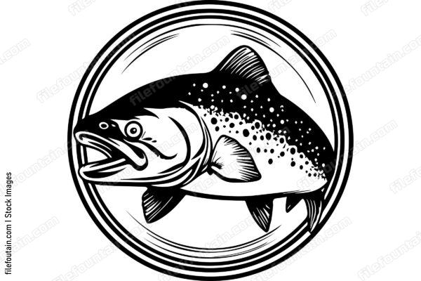 Salmon