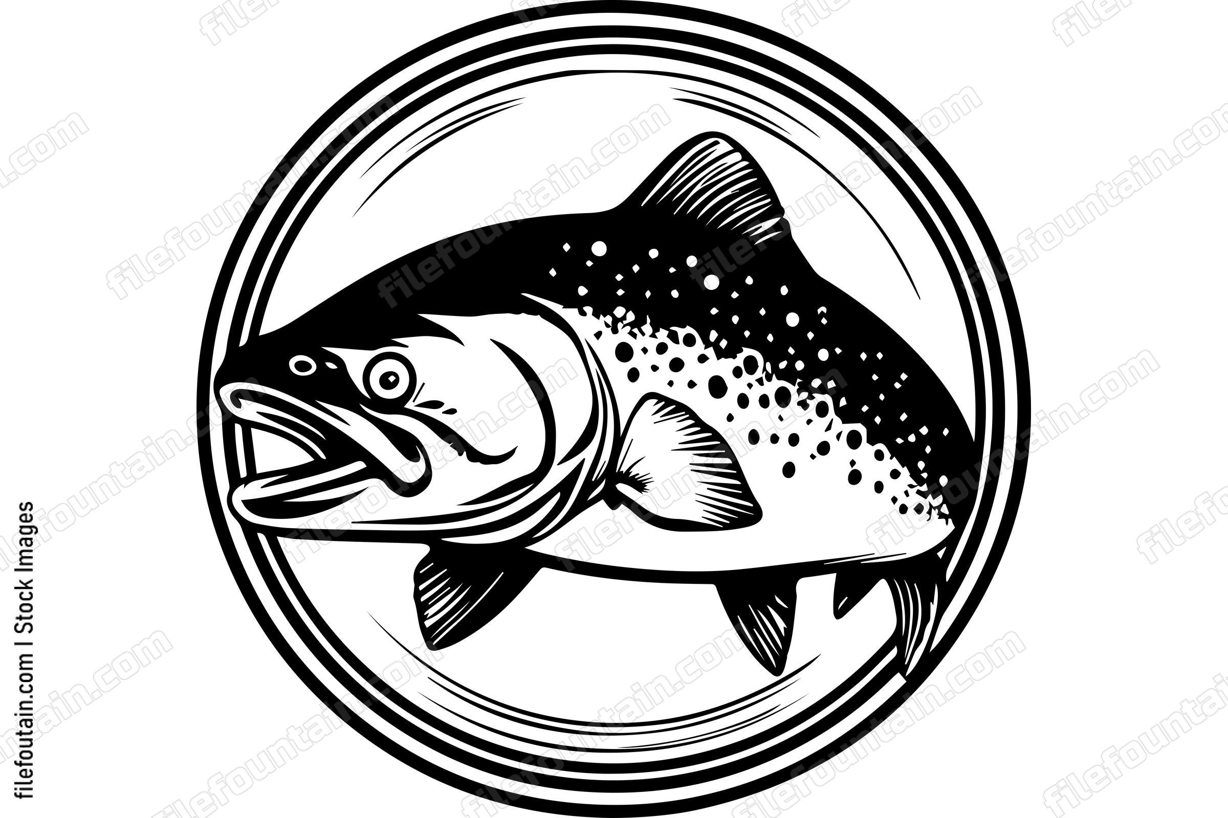 Salmon