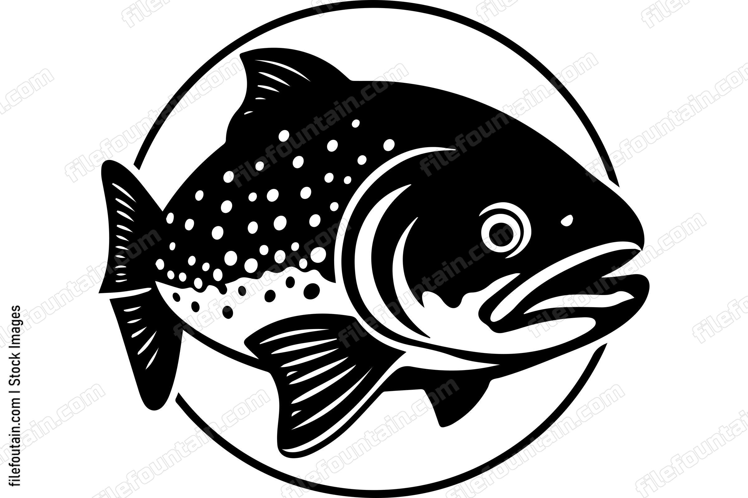Salmon