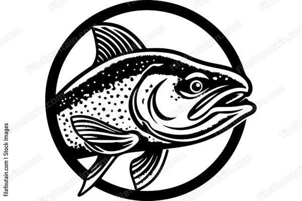 Salmon