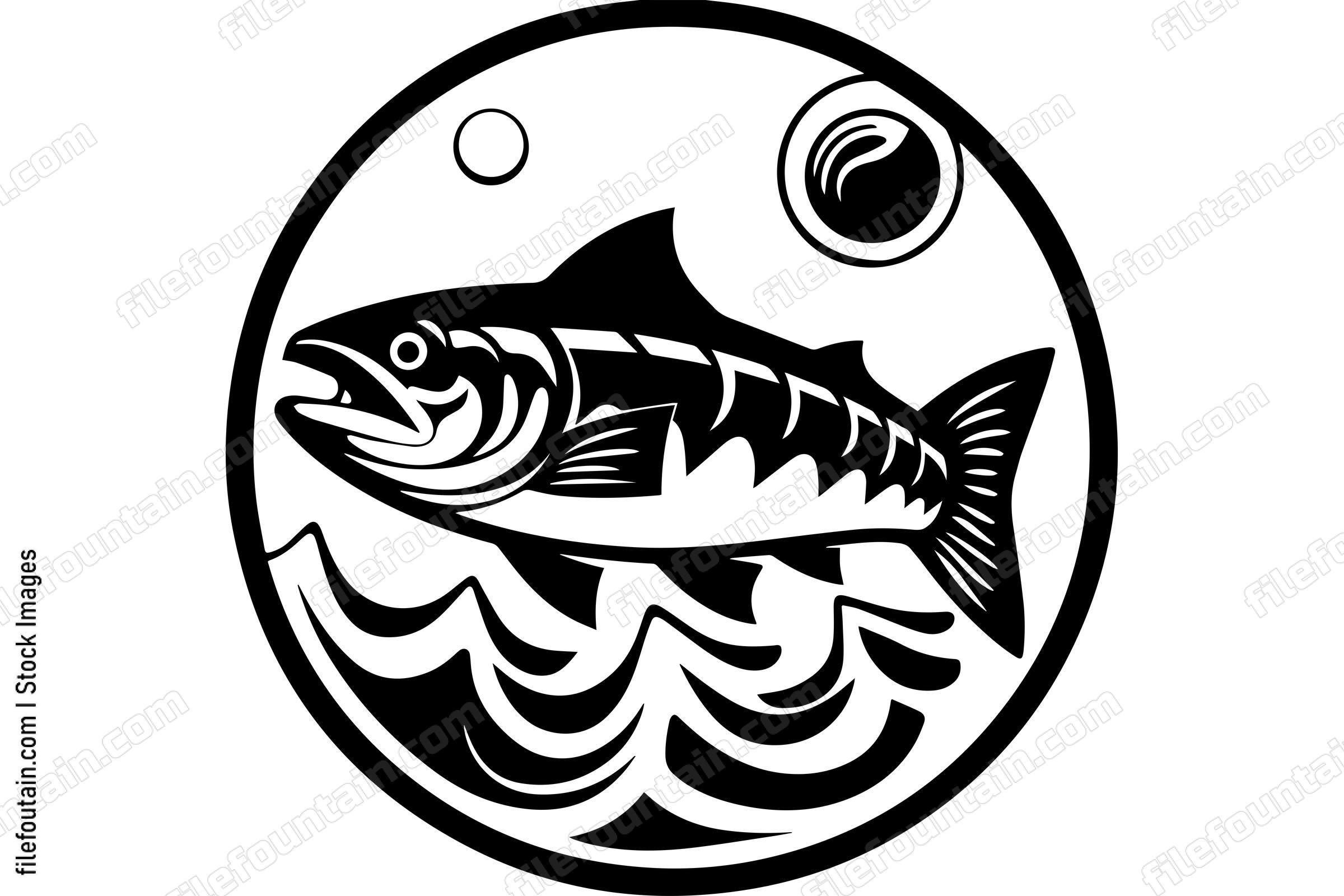 Salmon