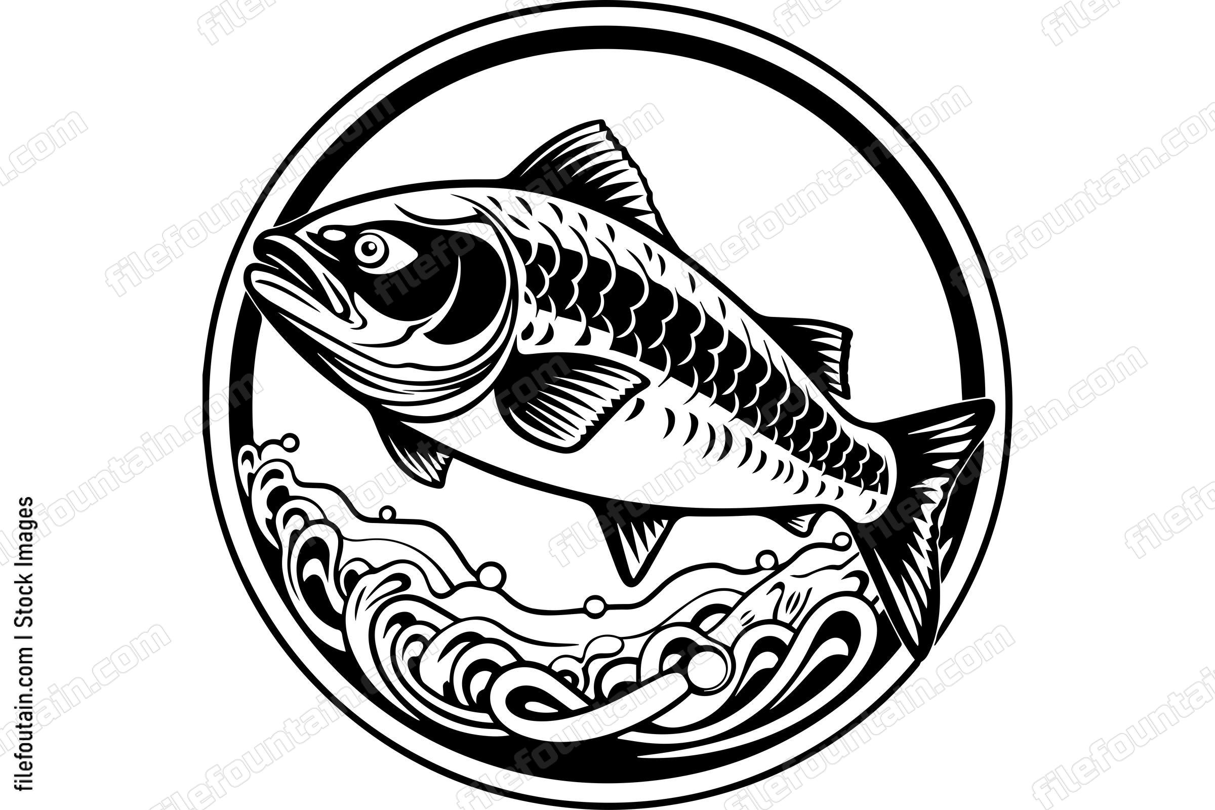 Salmon