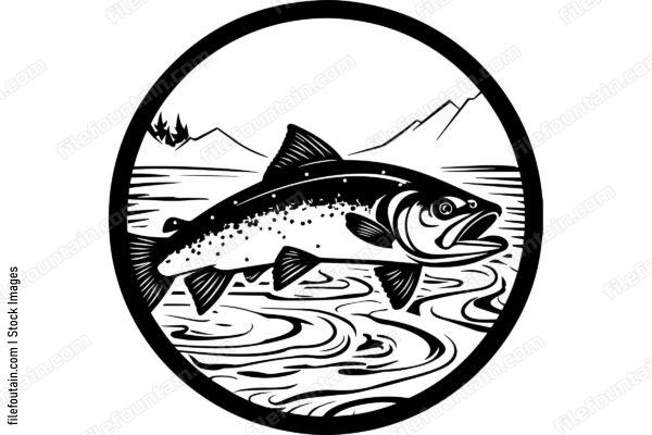 Salmon
