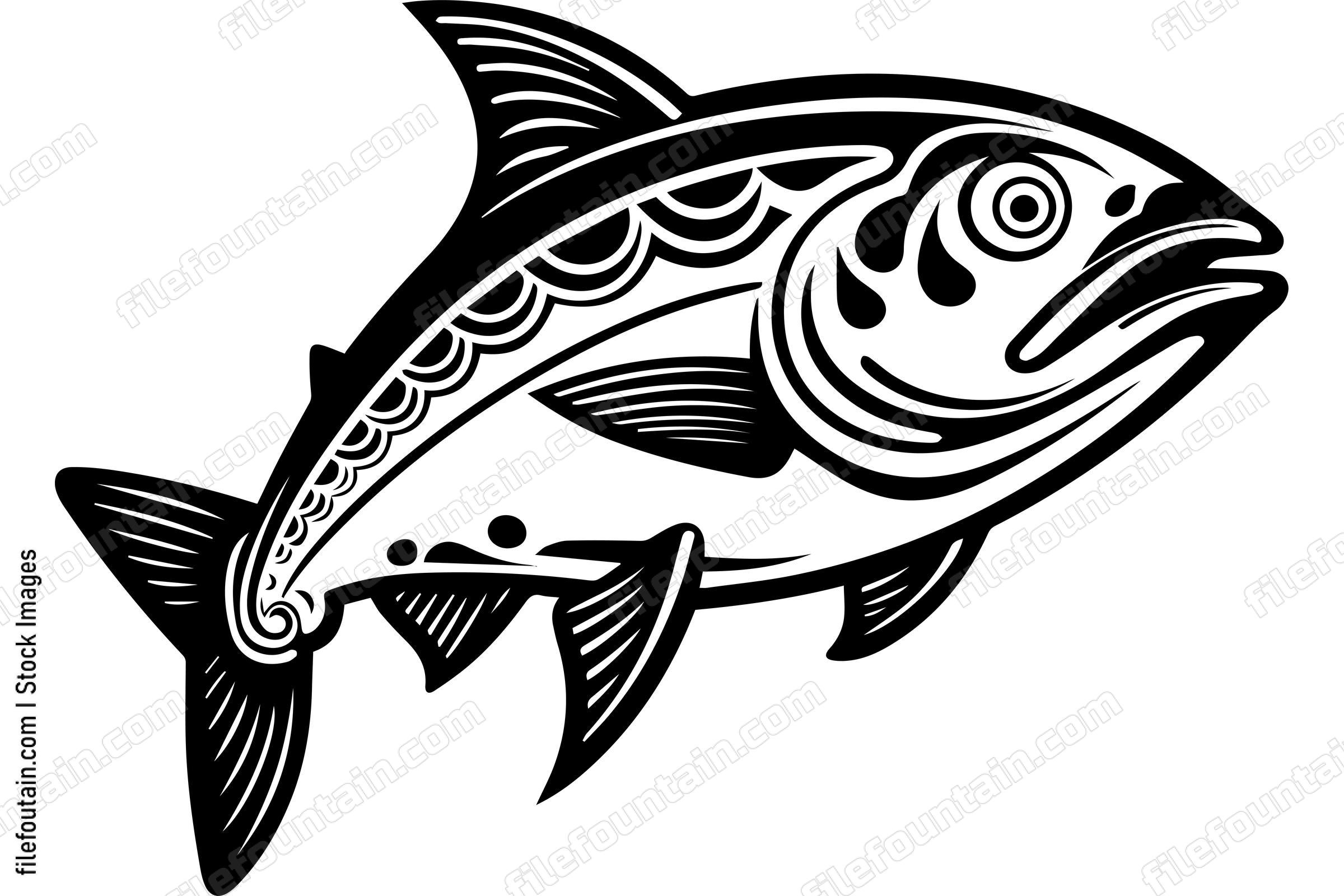 Salmon