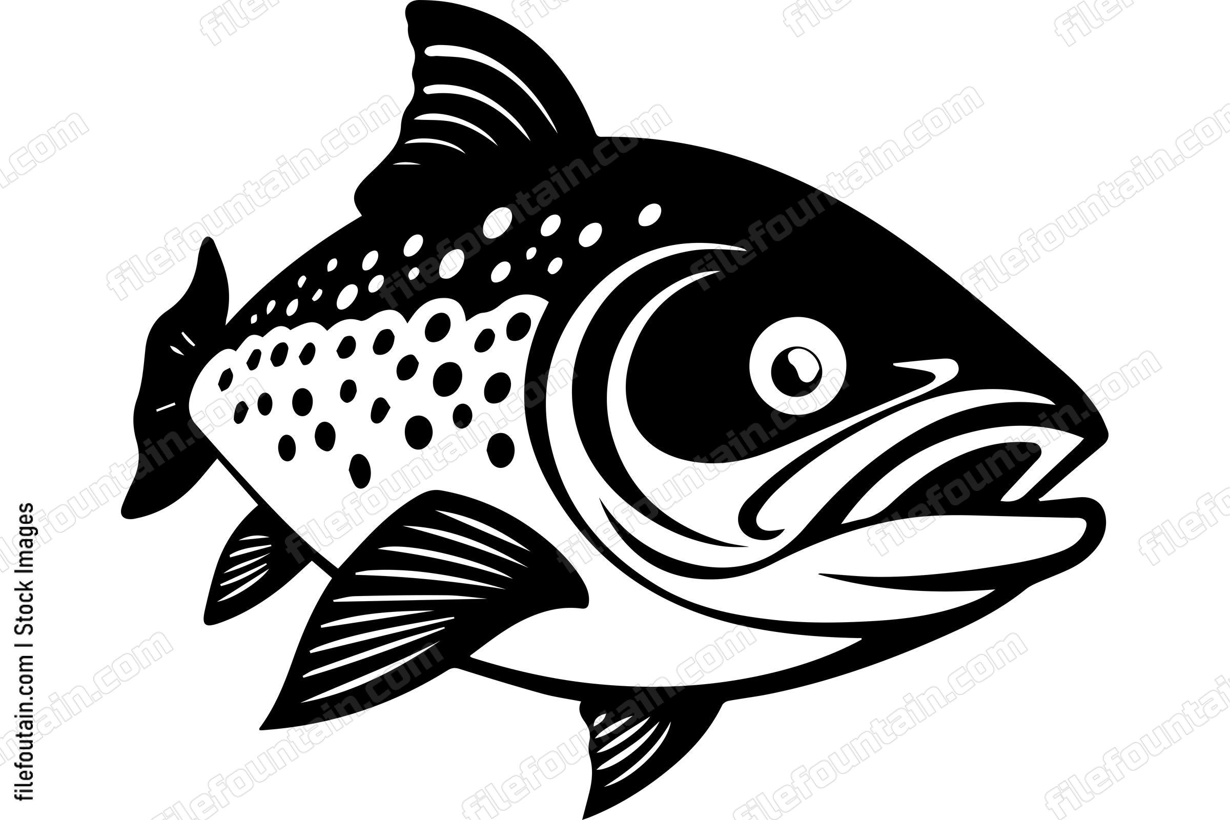 Salmon