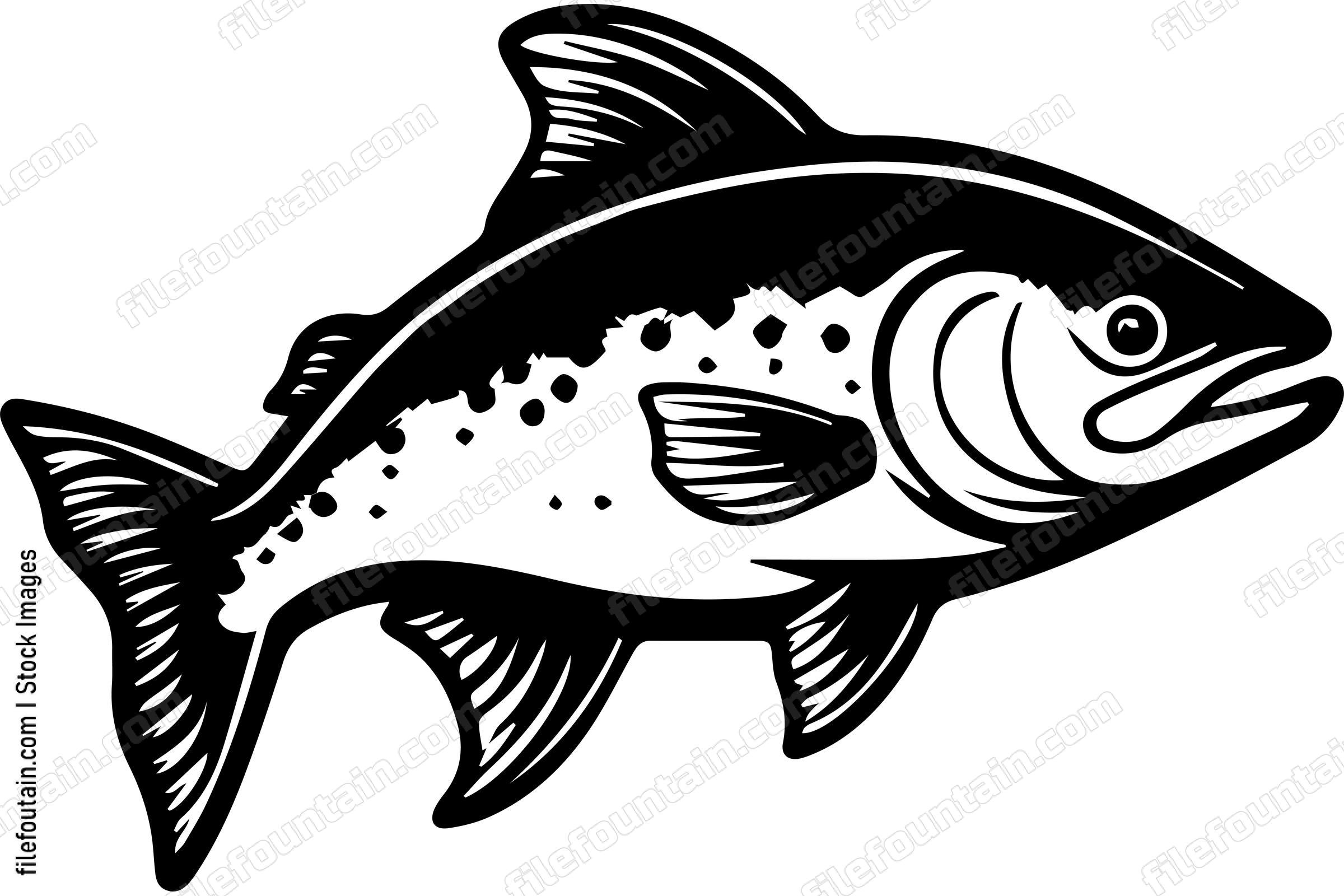 Salmon