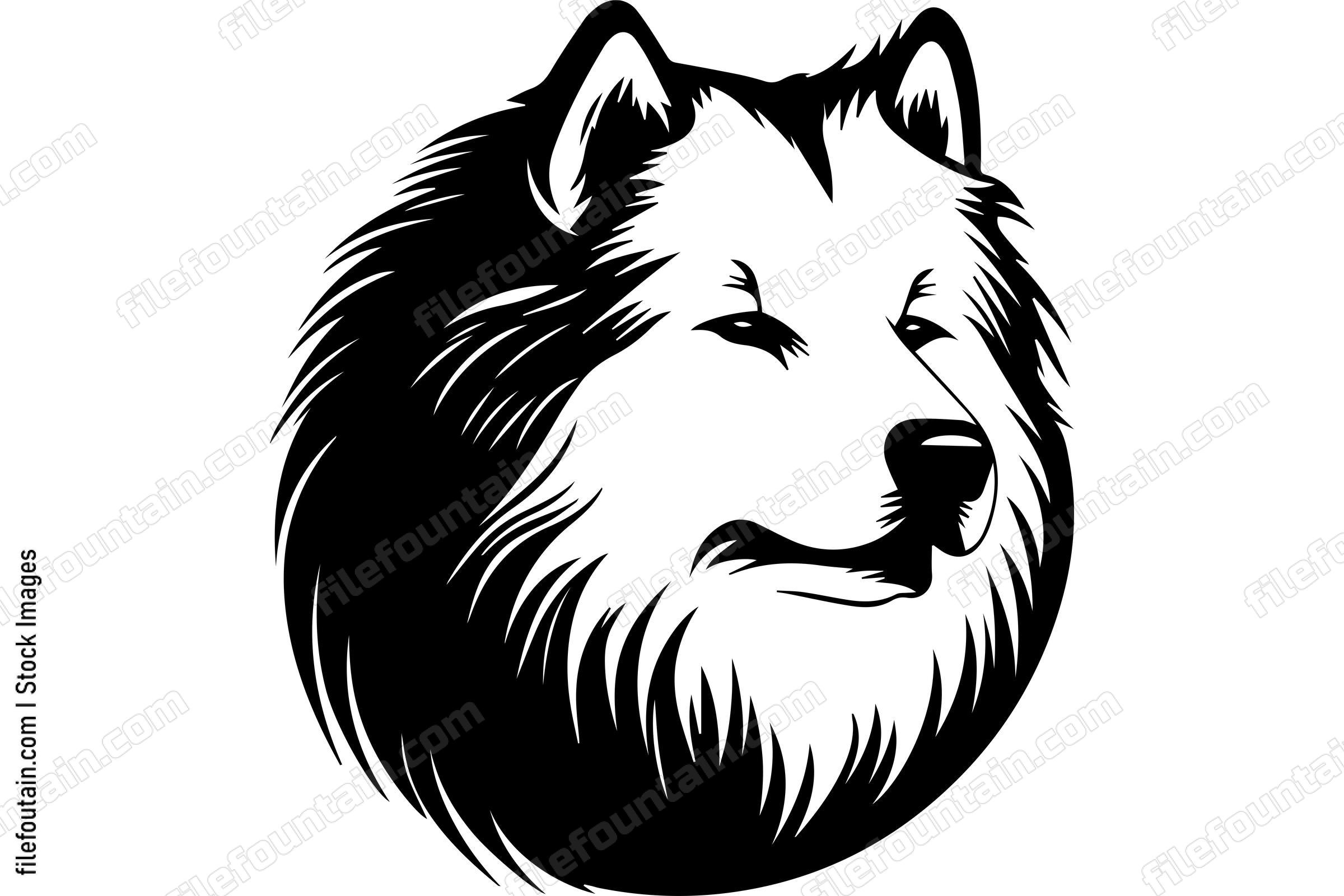 Samoyed