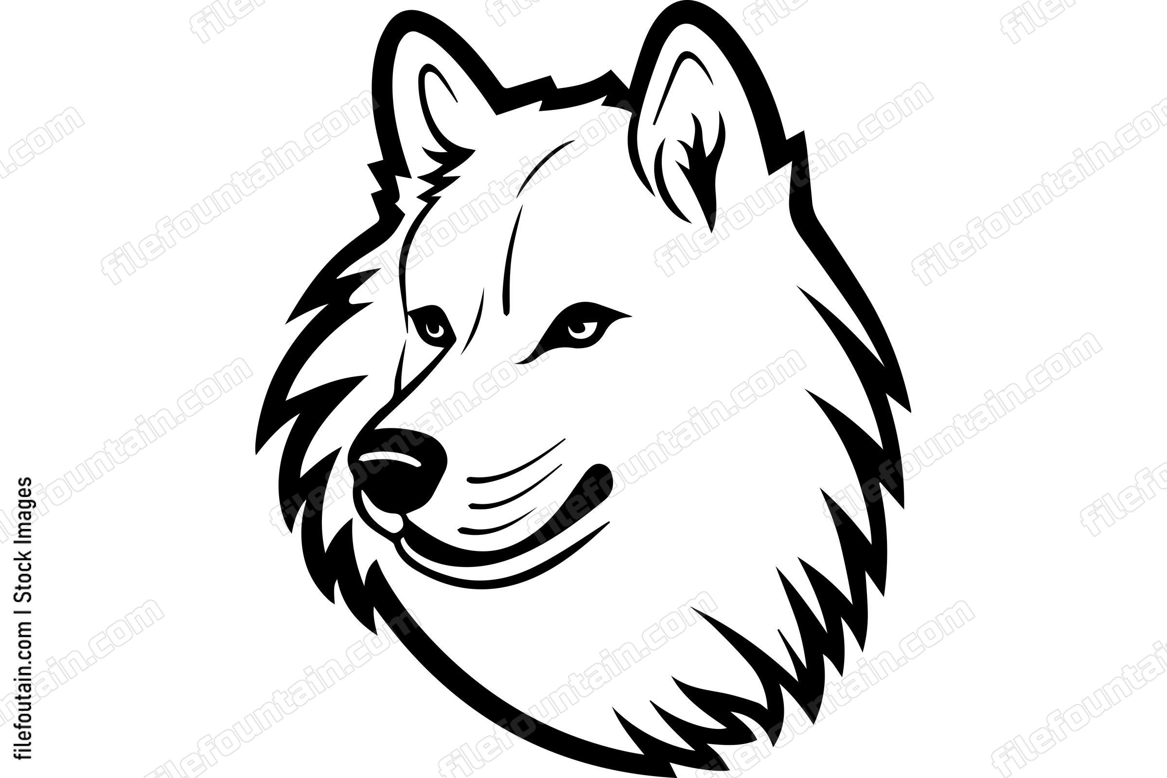 Samoyed