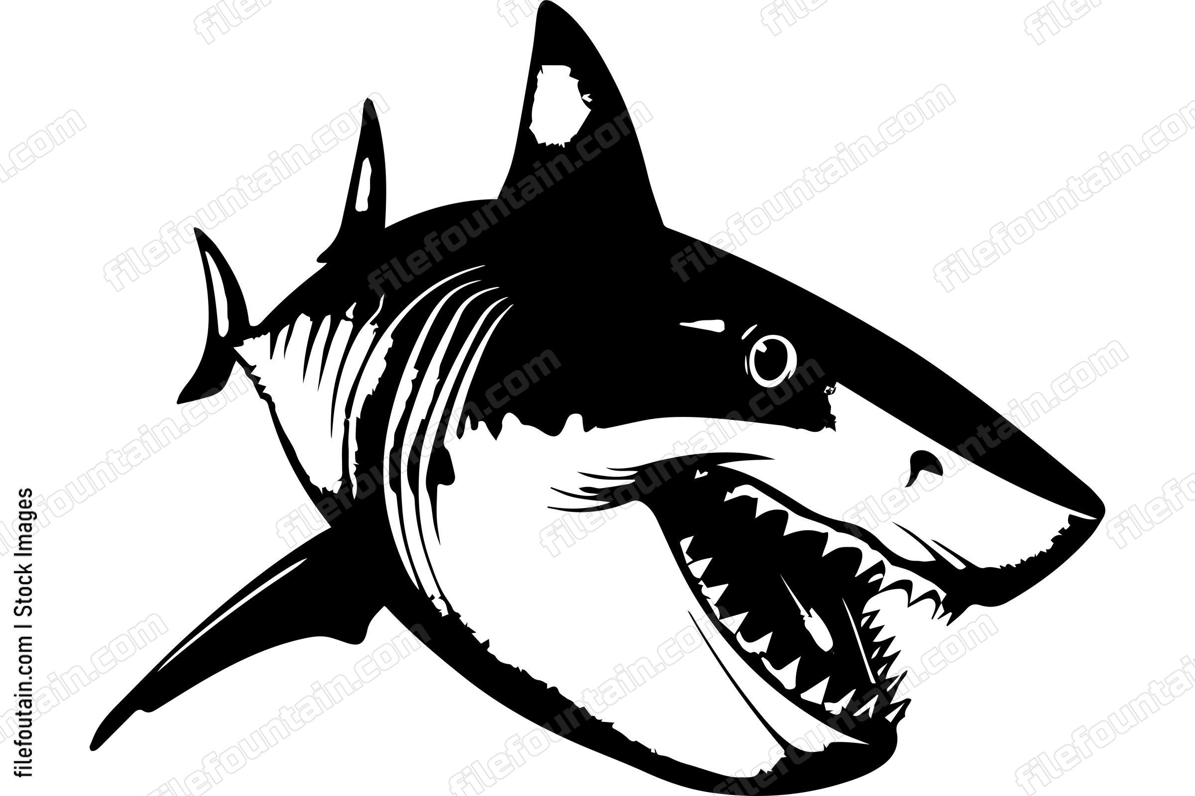 Shark