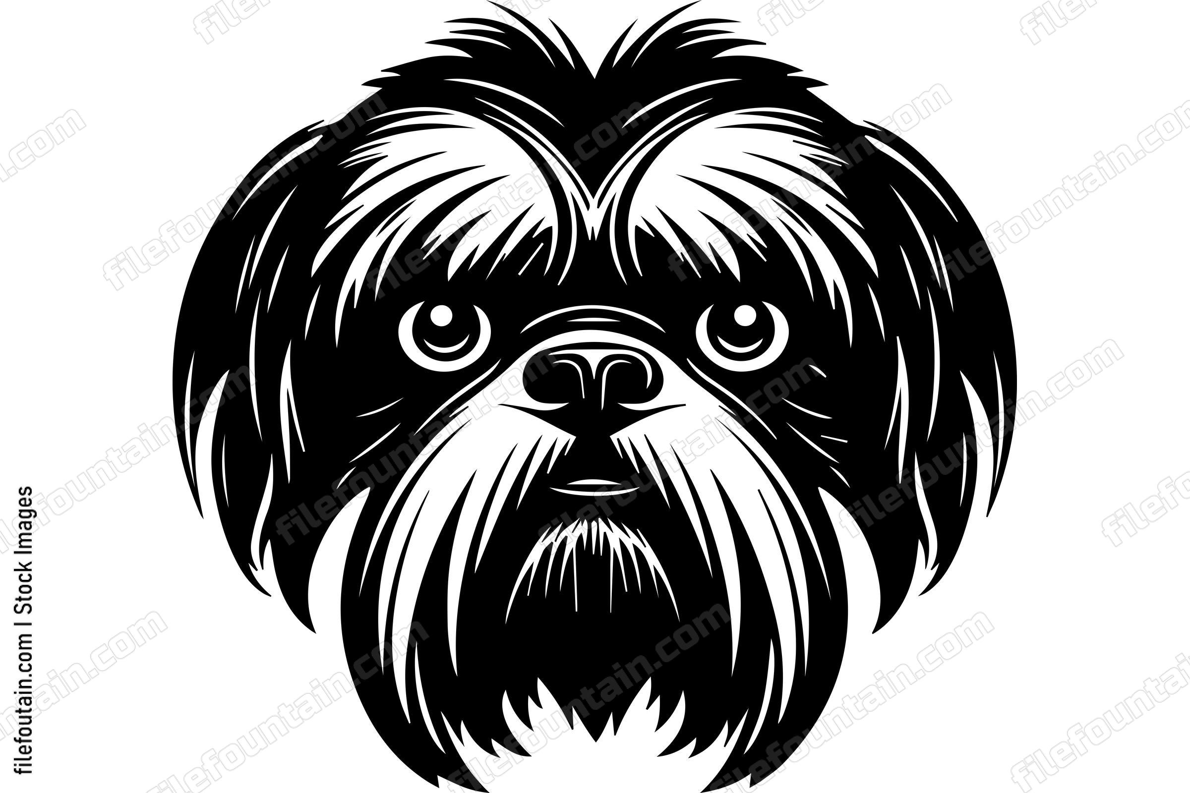 Shih Tzu