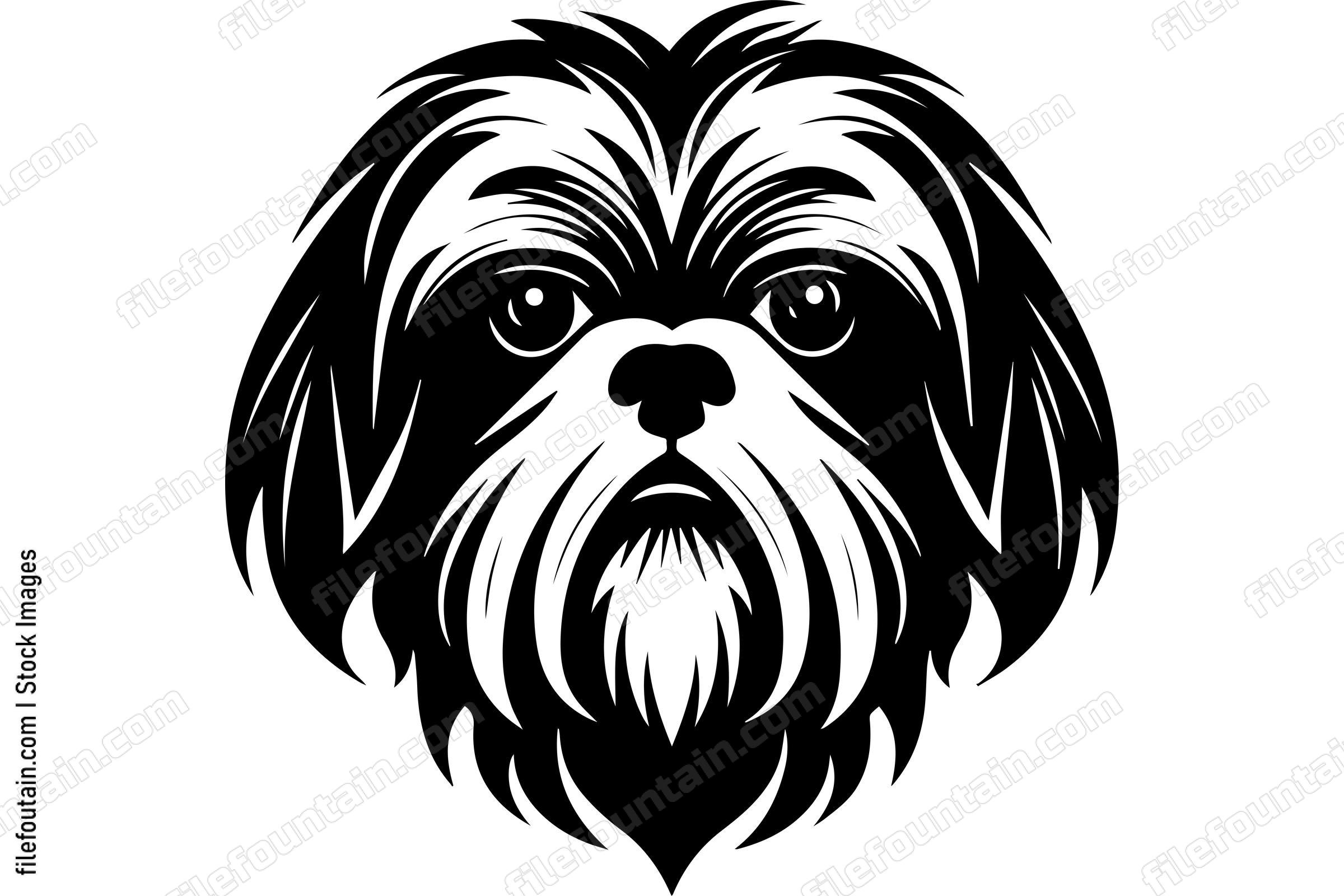 Shih Tzu