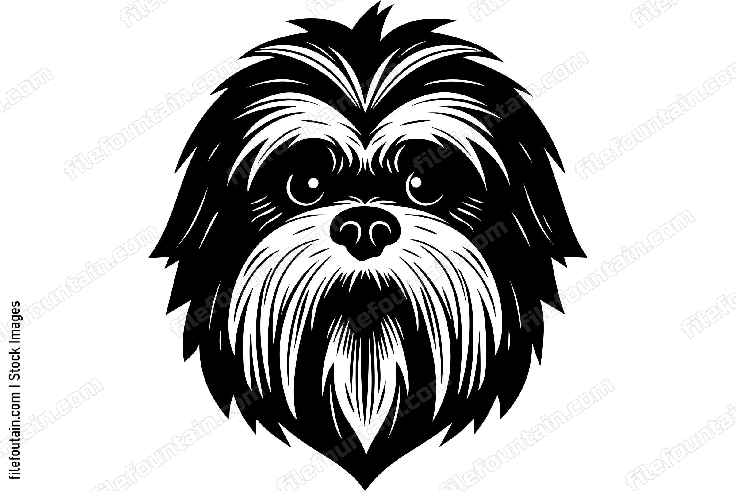 Shih Tzu