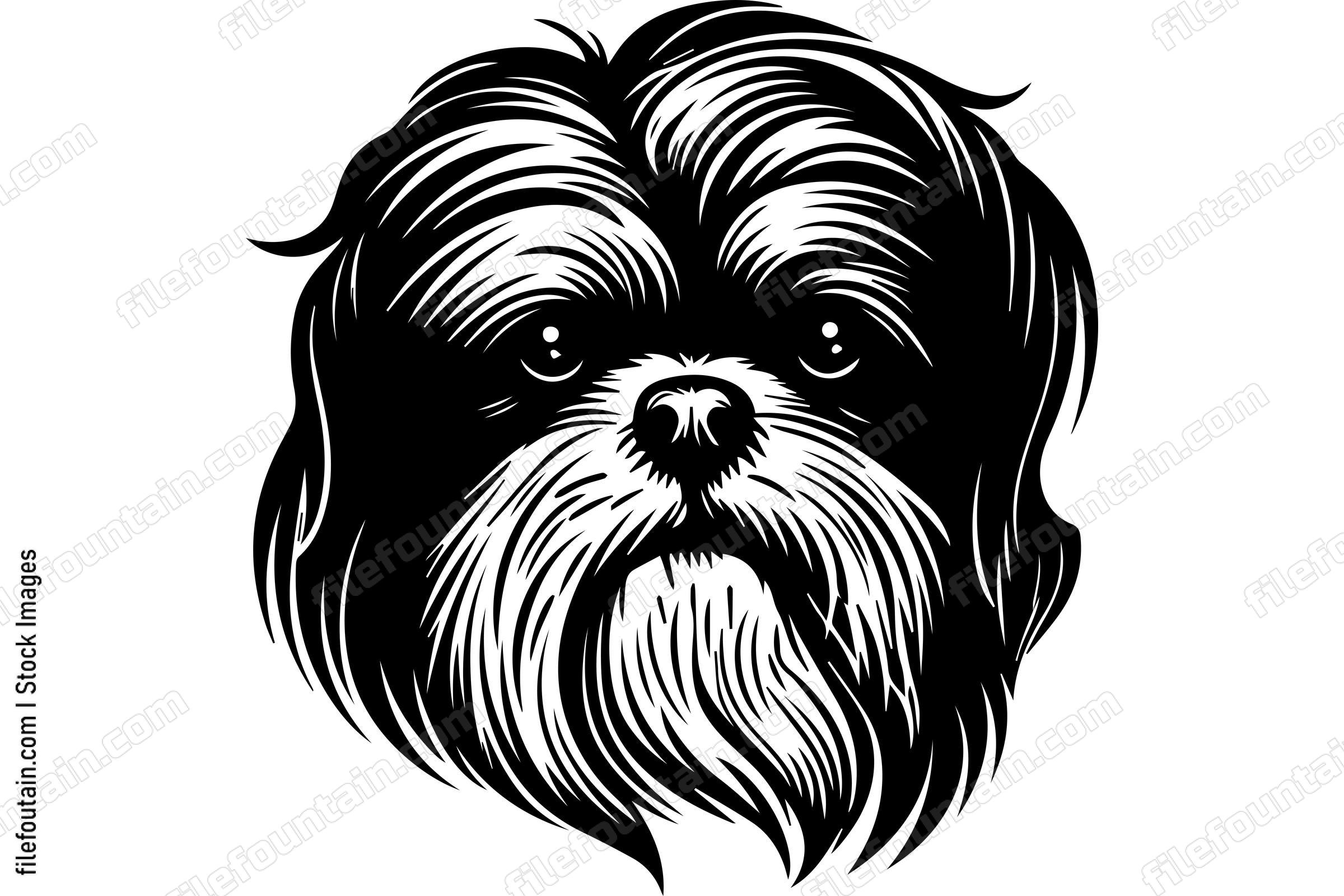 Shih Tzu