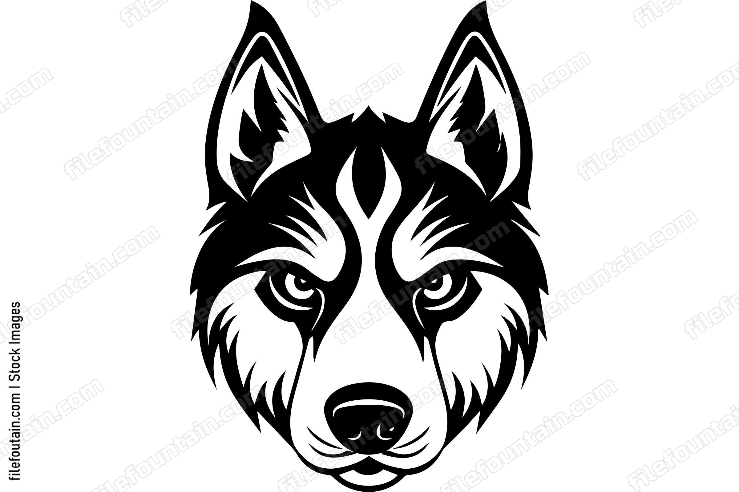 Siberian Husky