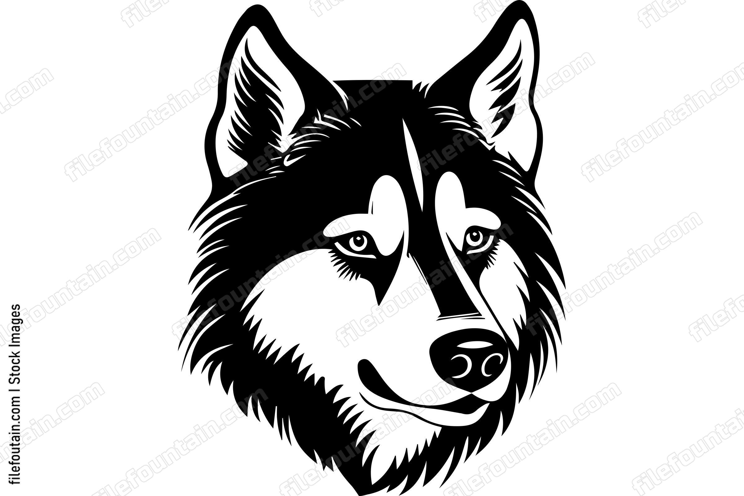 Siberian Husky