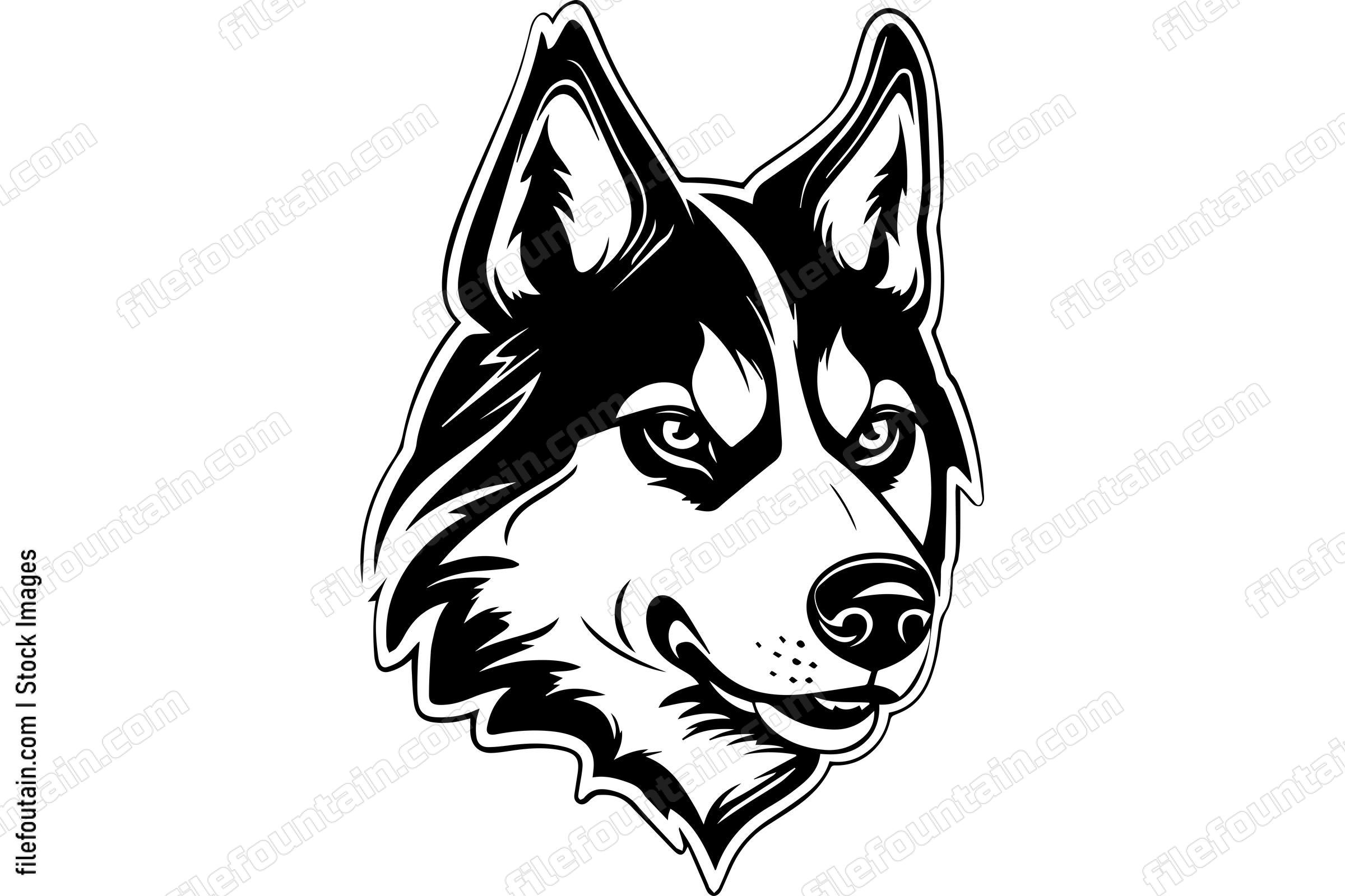 Siberian Husky