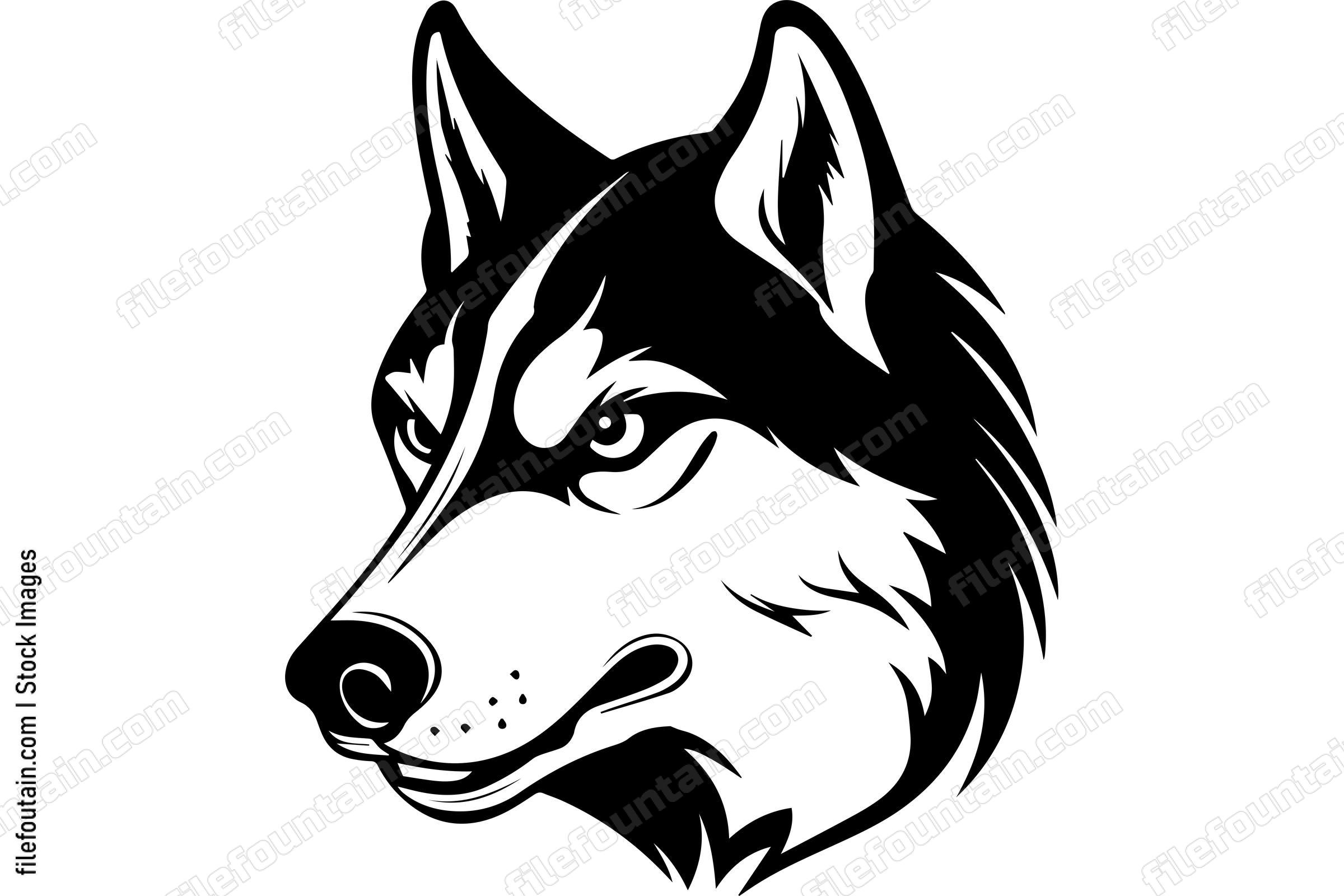 Siberian Husky