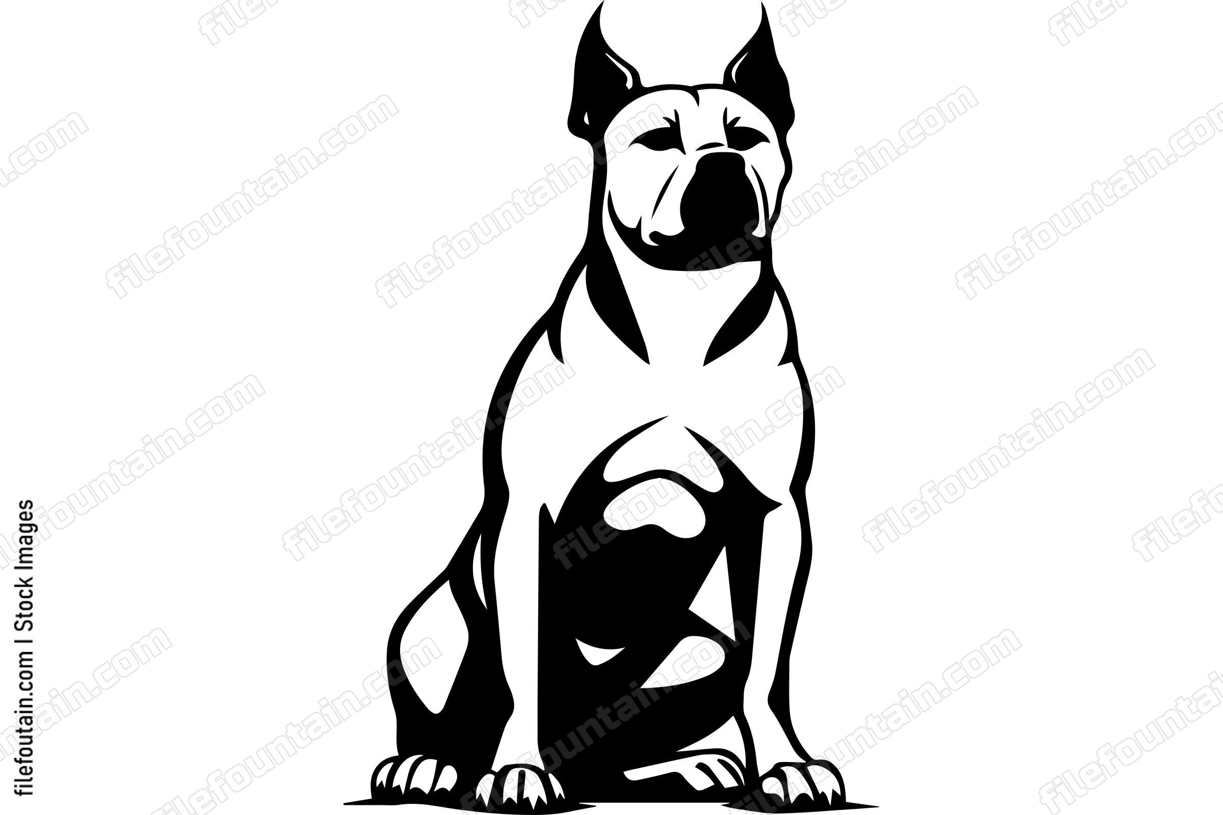 Sitting American Pit Bull Terrier