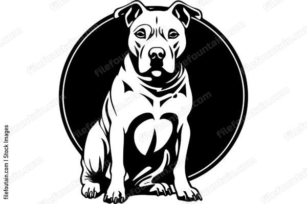 Sitting American Pit Bull Terrier