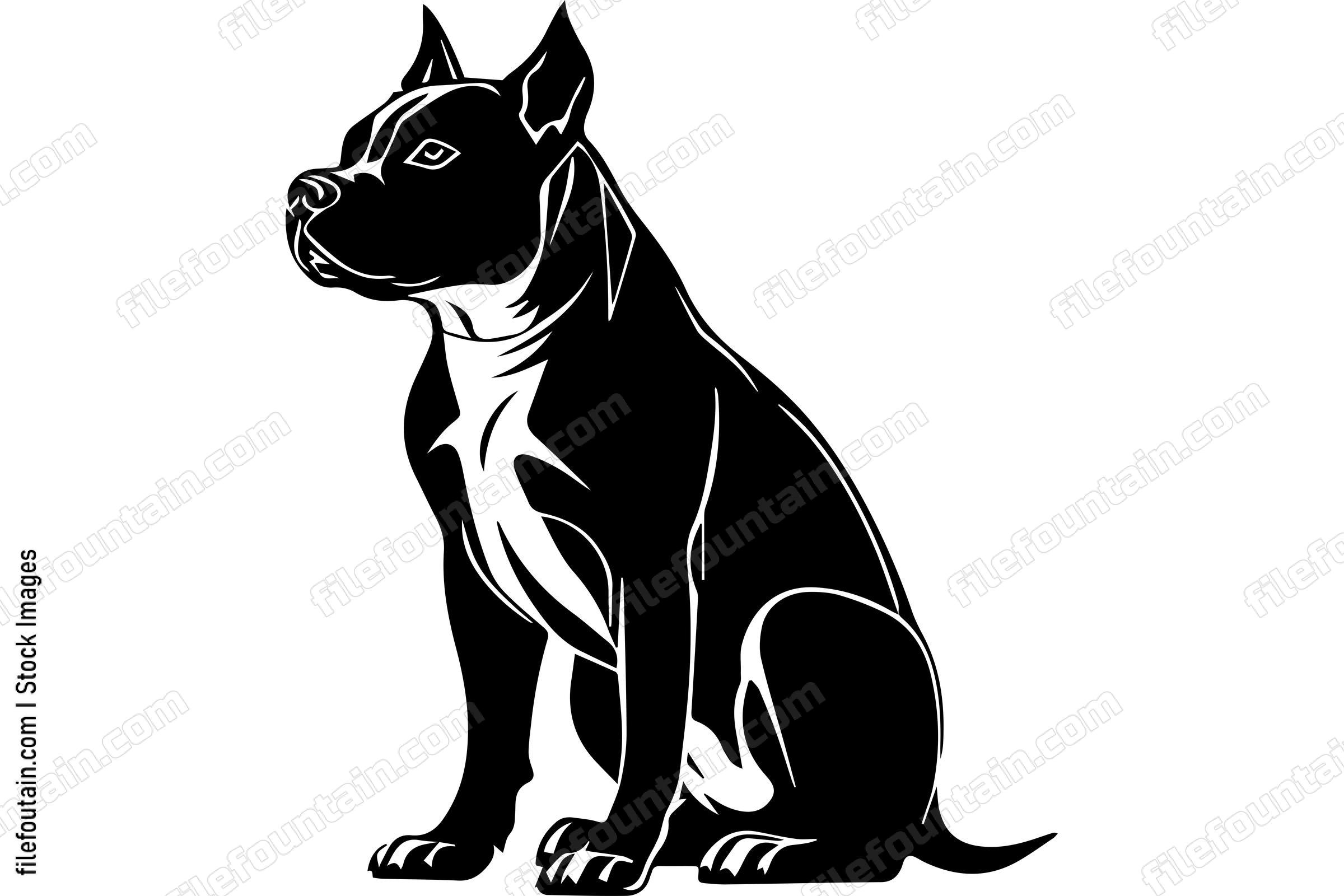 Sitting American Pit Bull Terrier