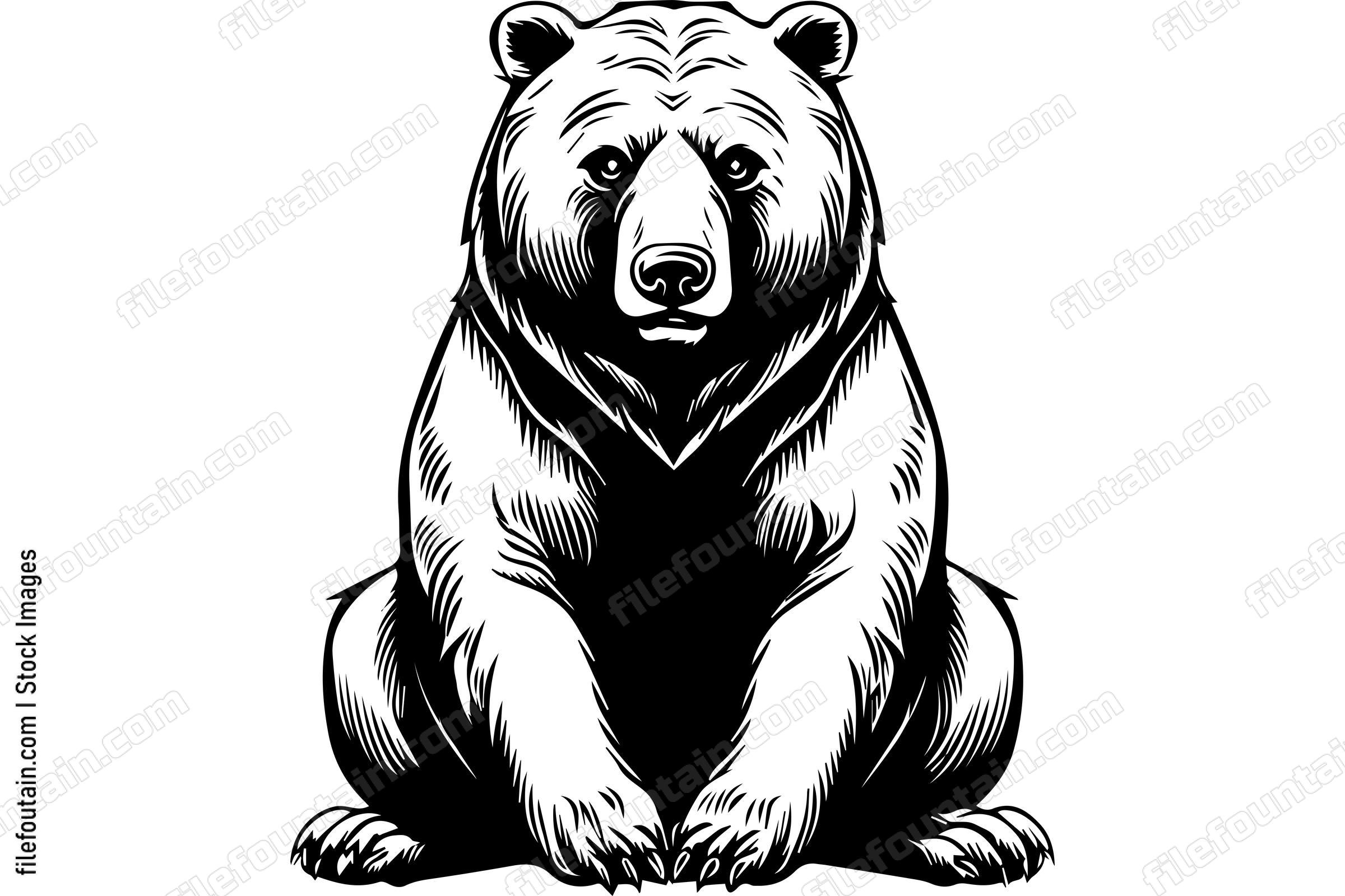 Sitting Grizzly Bear