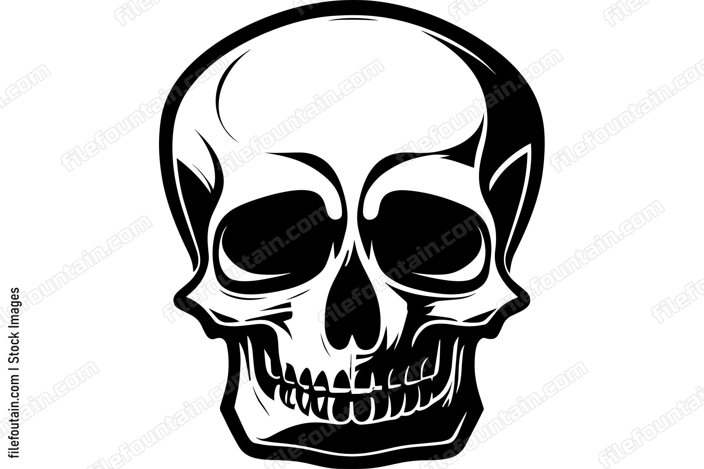 Skull