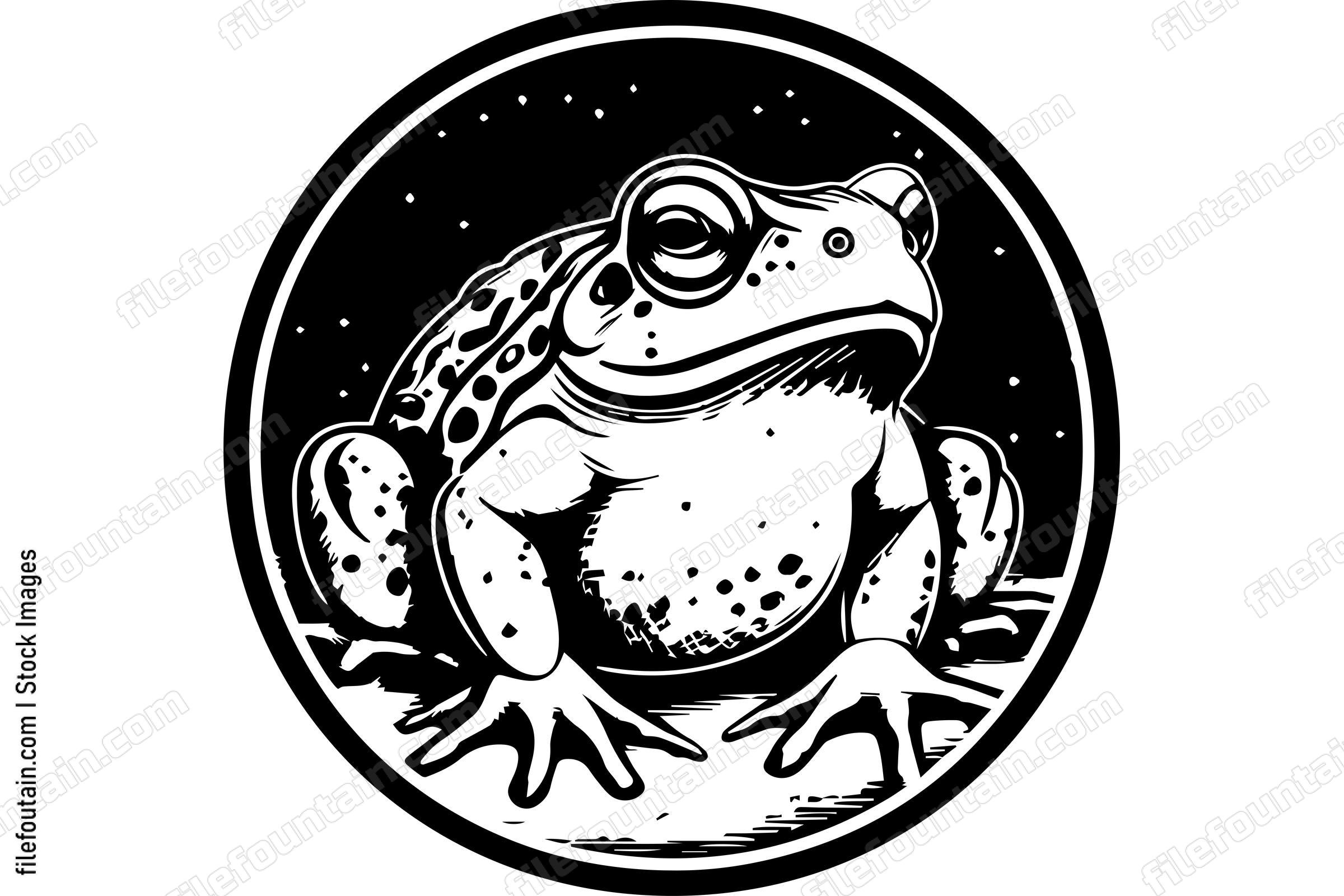 Toad