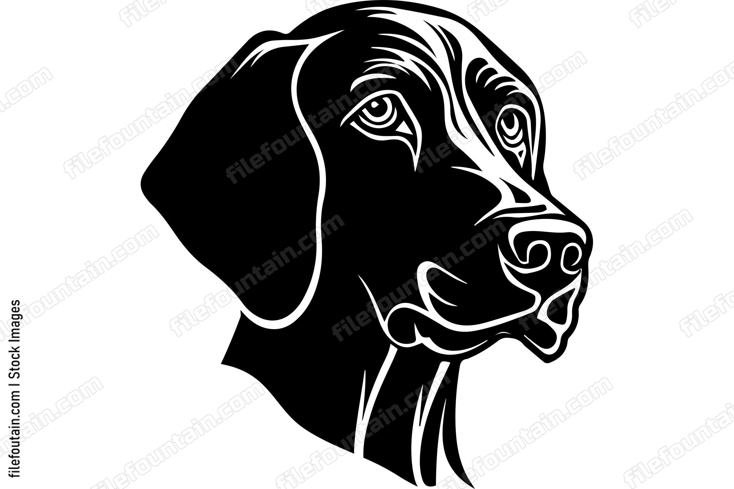 Vizsla