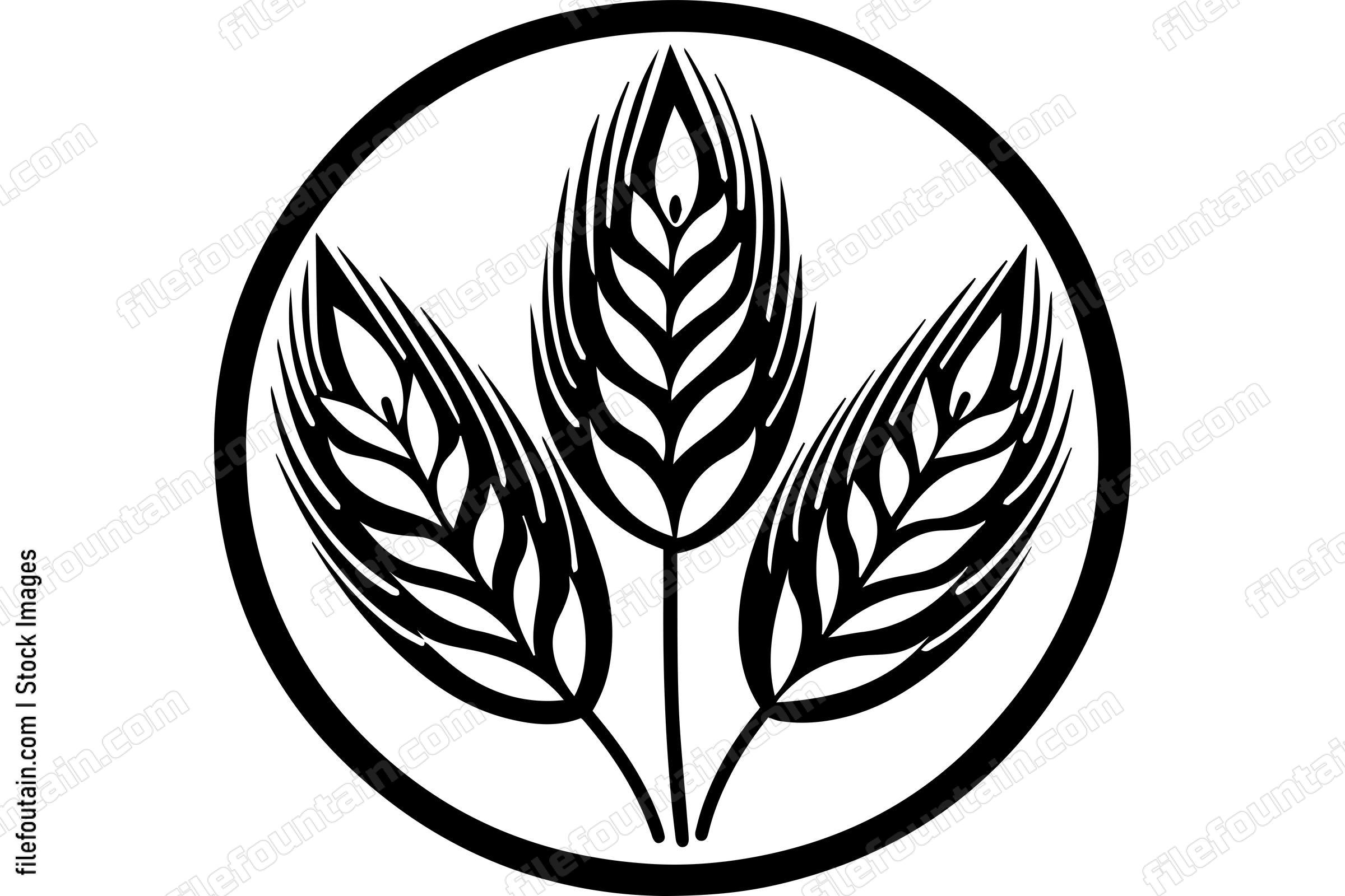 Wheat
