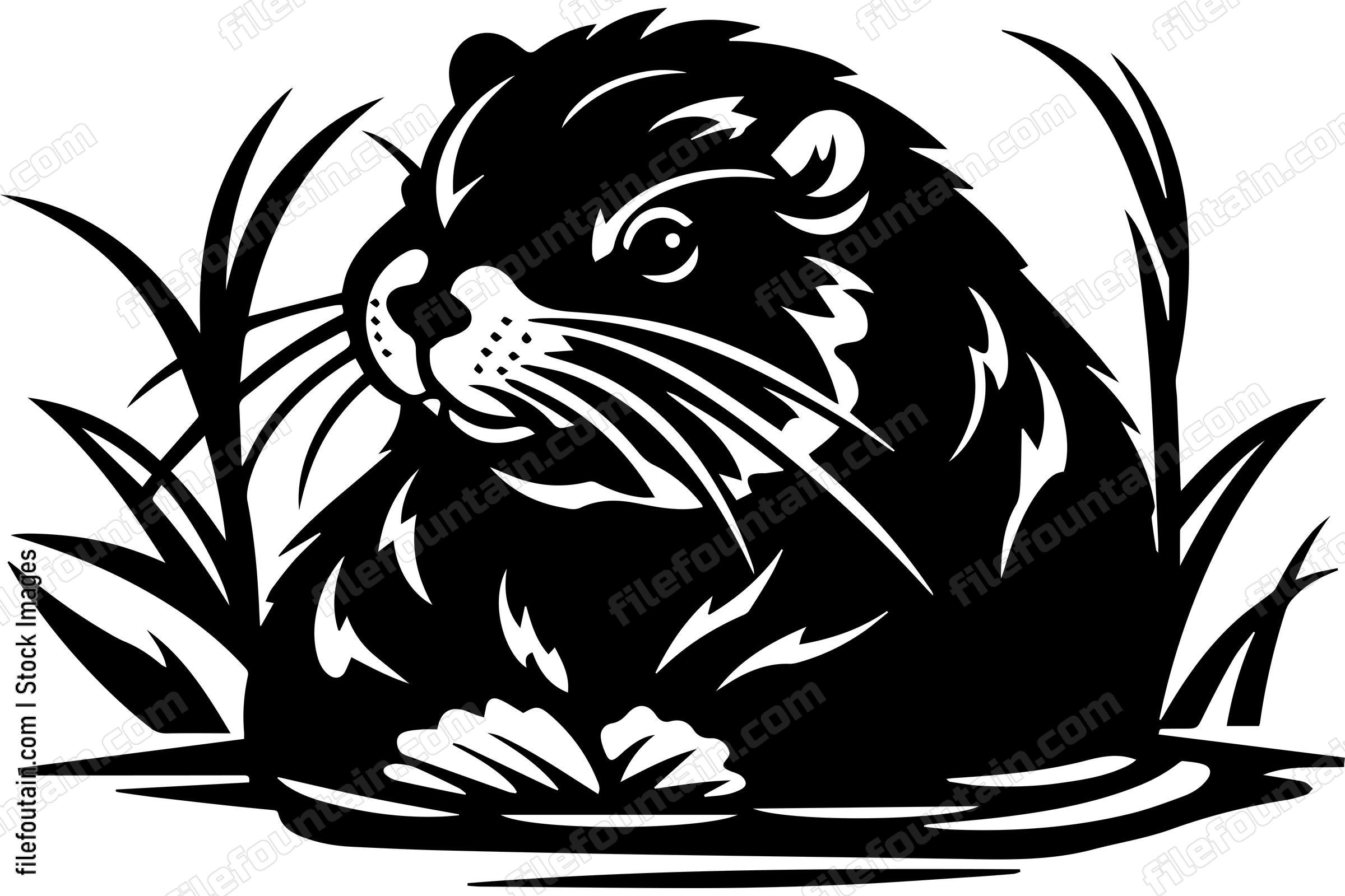 Beaver