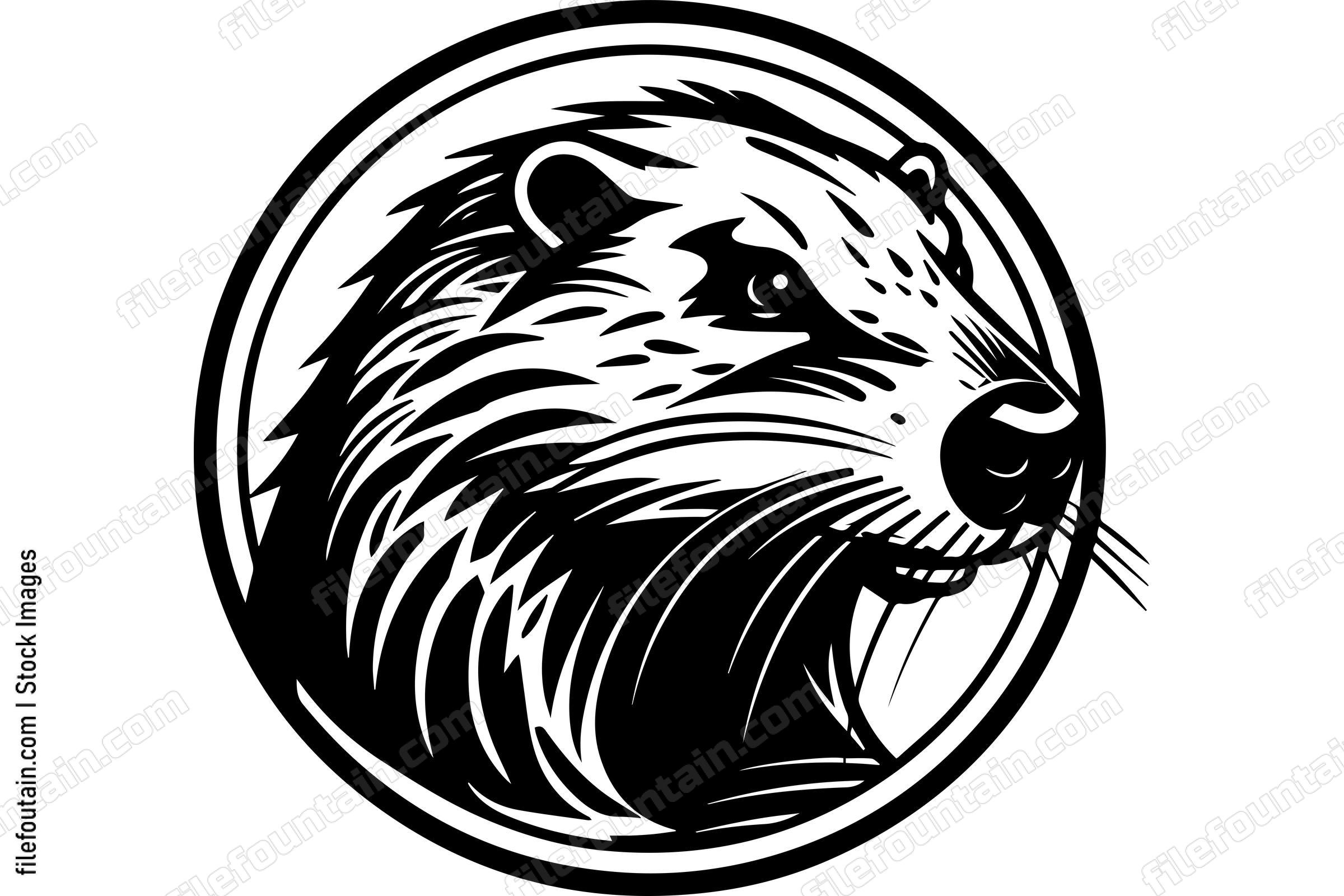 Beaver