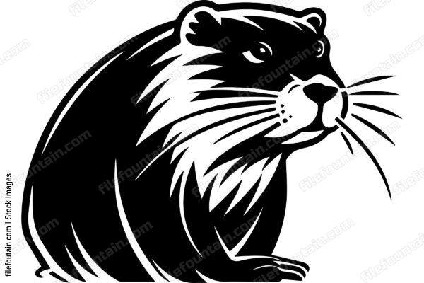 Beaver