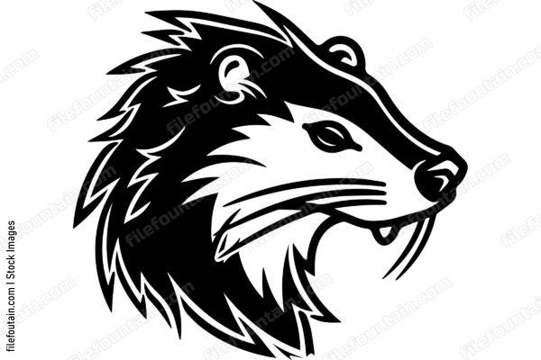 Beaver