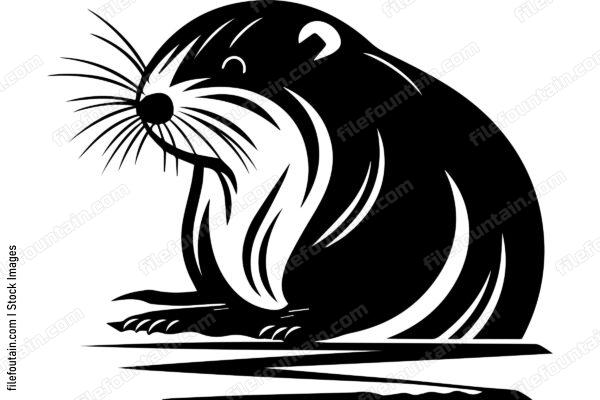 Beaver