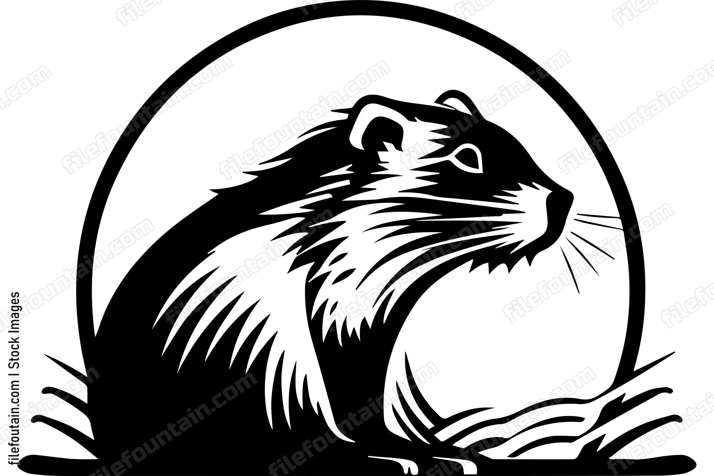 Beaver
