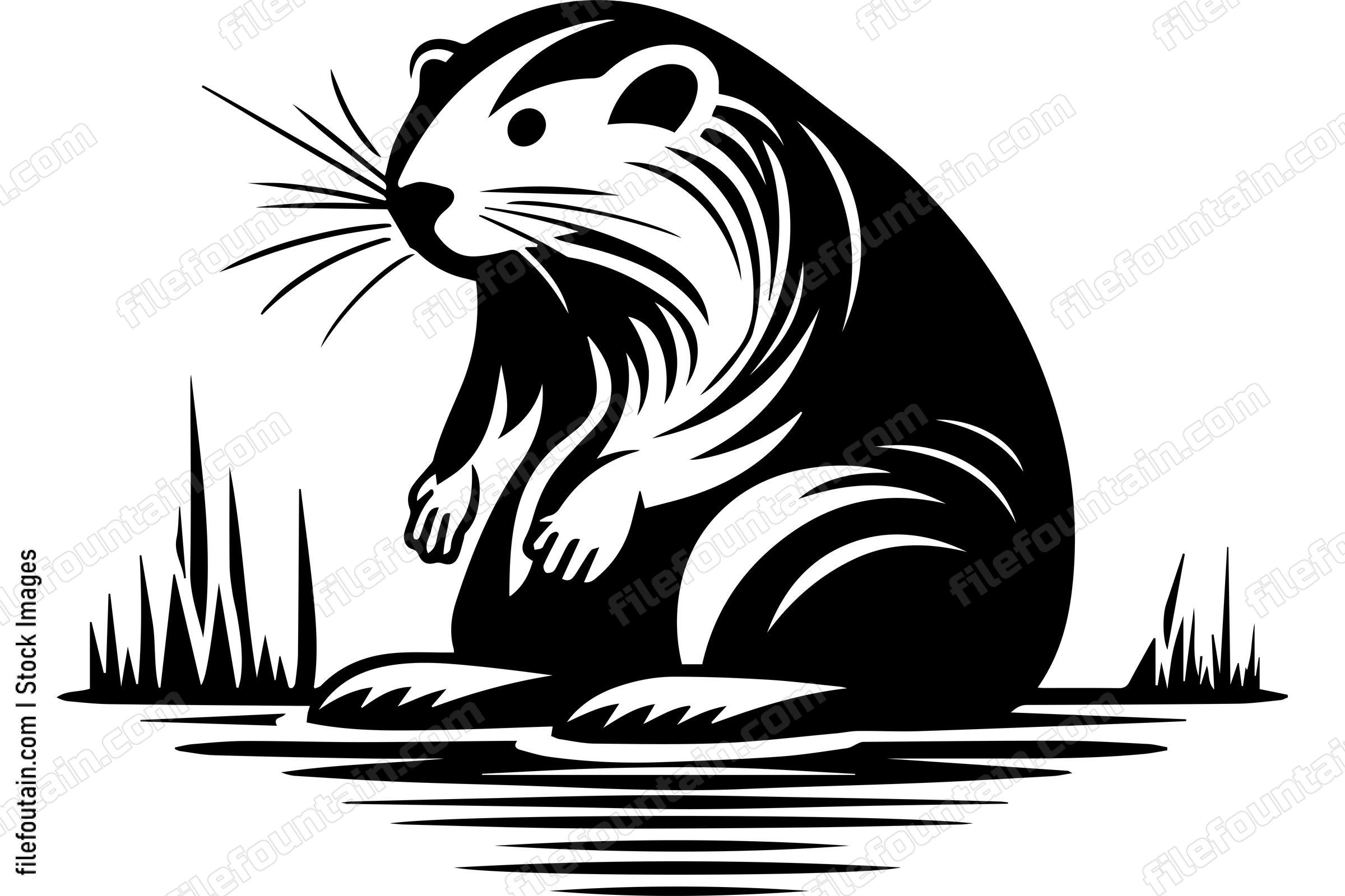 Beaver