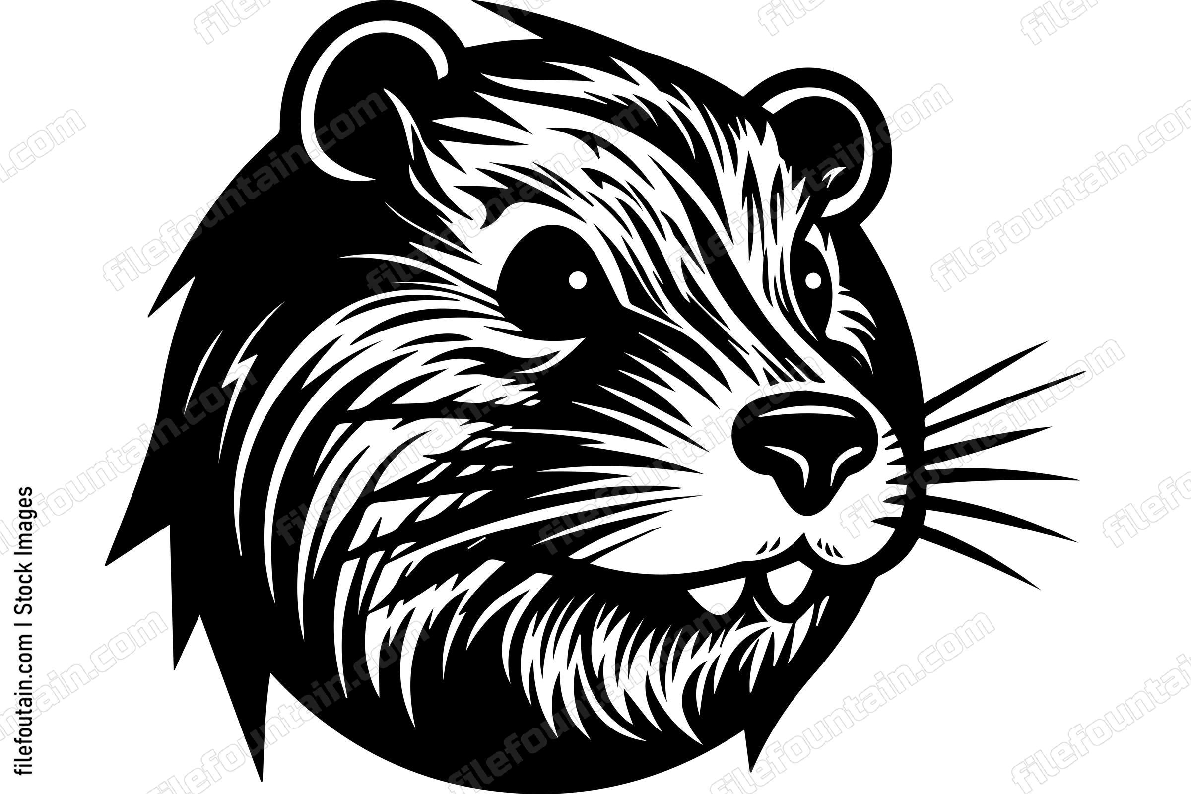 Beaver