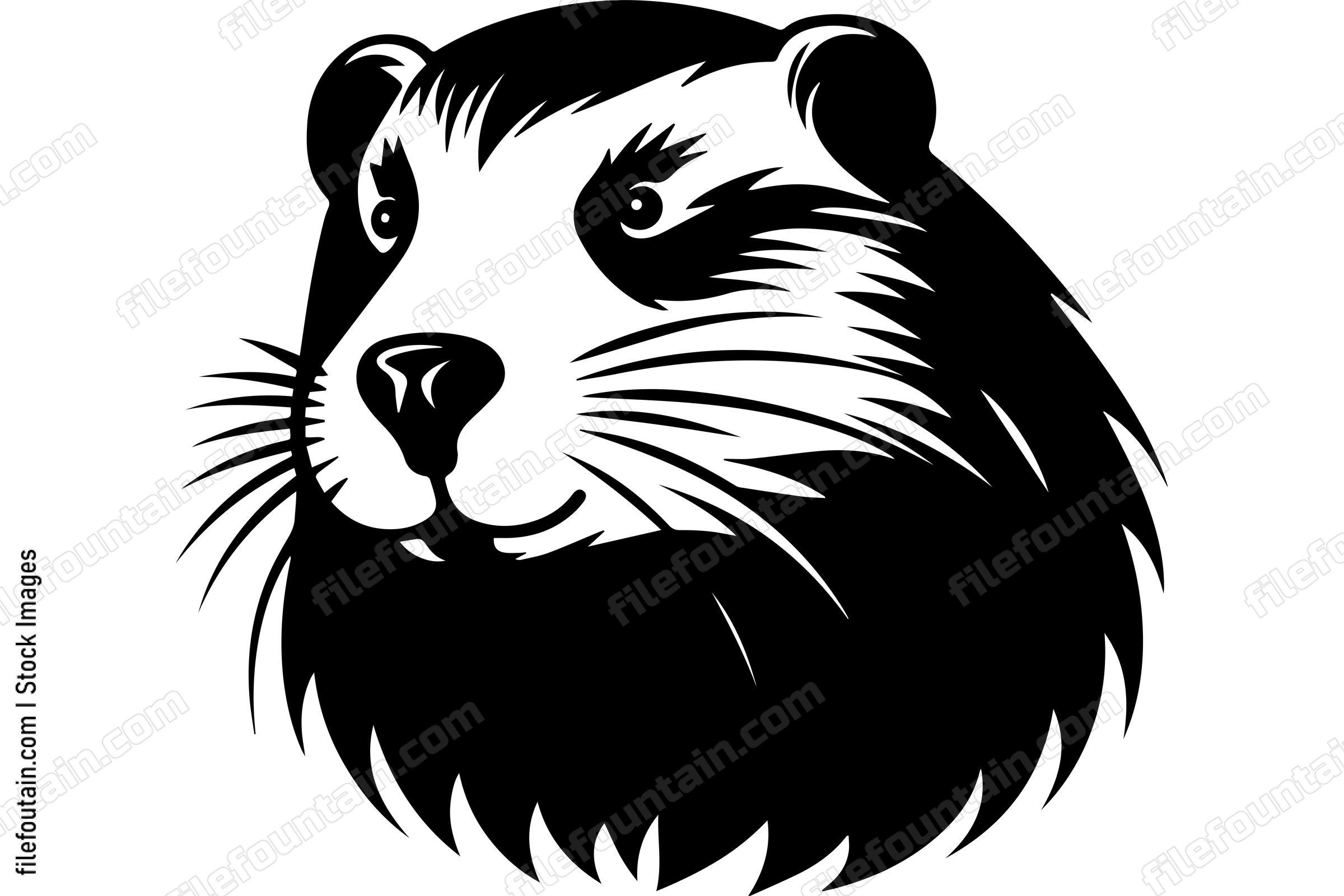 Beaver