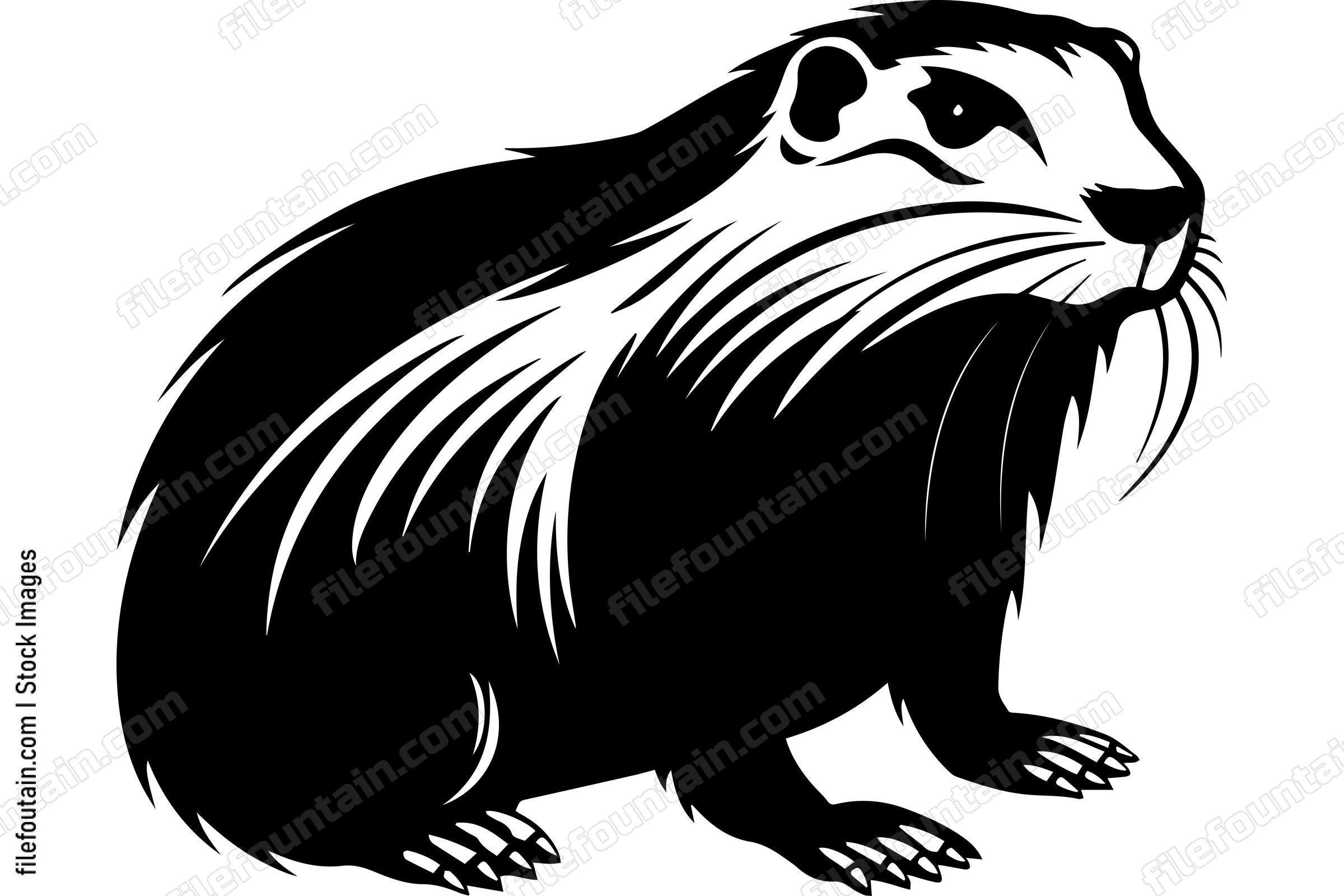 Beaver