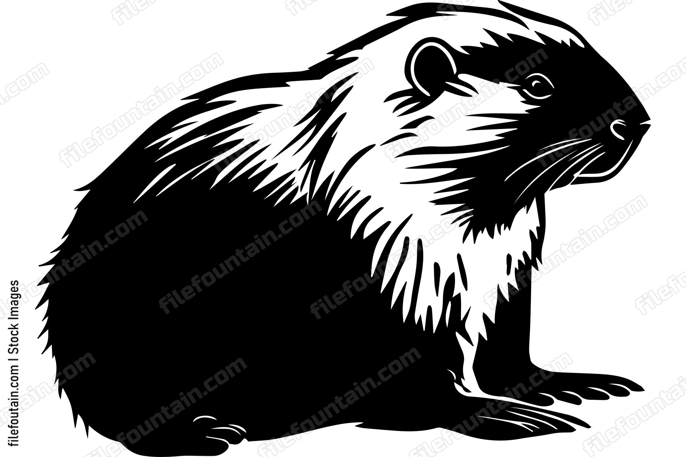 Beaver